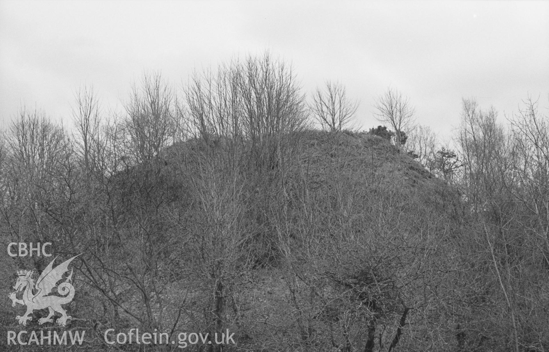 Digital copy of a black and white negative showing Castell Hywel motte, west of Lampeter. Photographed by Arthur O. Chater in April 1965 from Grid Reference SN 4404 4770, looking south.