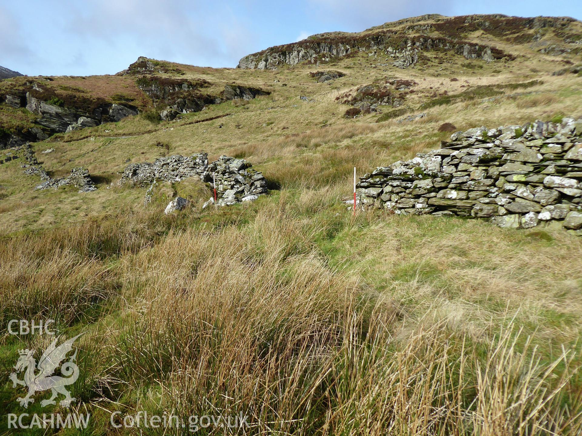 Llechwedd wall, photographed on 11th February 2019 as part of archaeological assessment of Antur Stiniog Downhill Cycle Tracks Extension, conducted by I. P. Brooks of Engineering Archaeological Services Ltd.