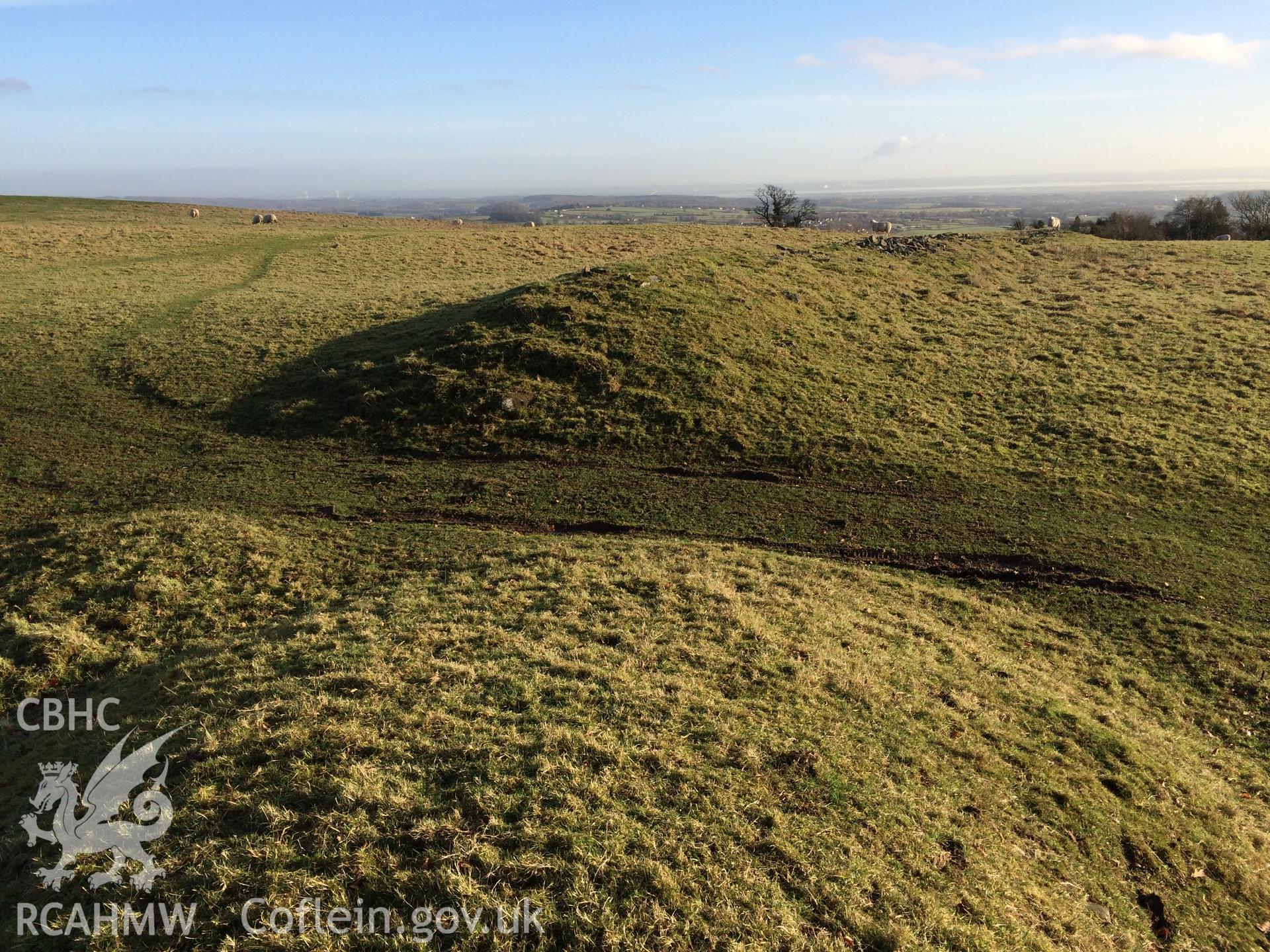 Photo showing Coed y Caerau, taken by Paul R. Davis, December 2017.