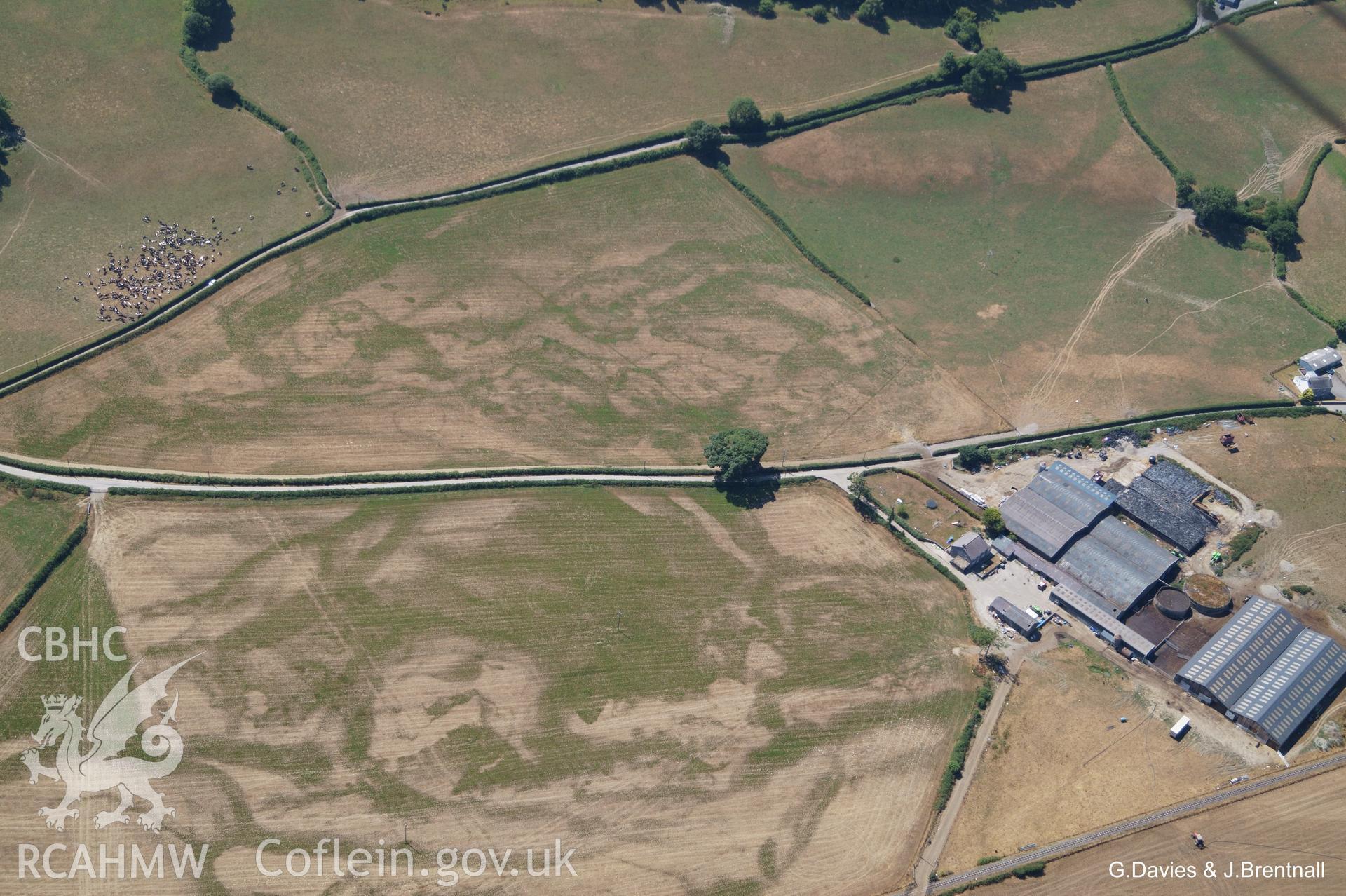 Aerial photograph showing small, irregular ring at Pwllcenawon Farm near Capel Bangor, taken by Glyn Davies and Jonathan Brentnall on 22nd July 2018, under drought conditions.