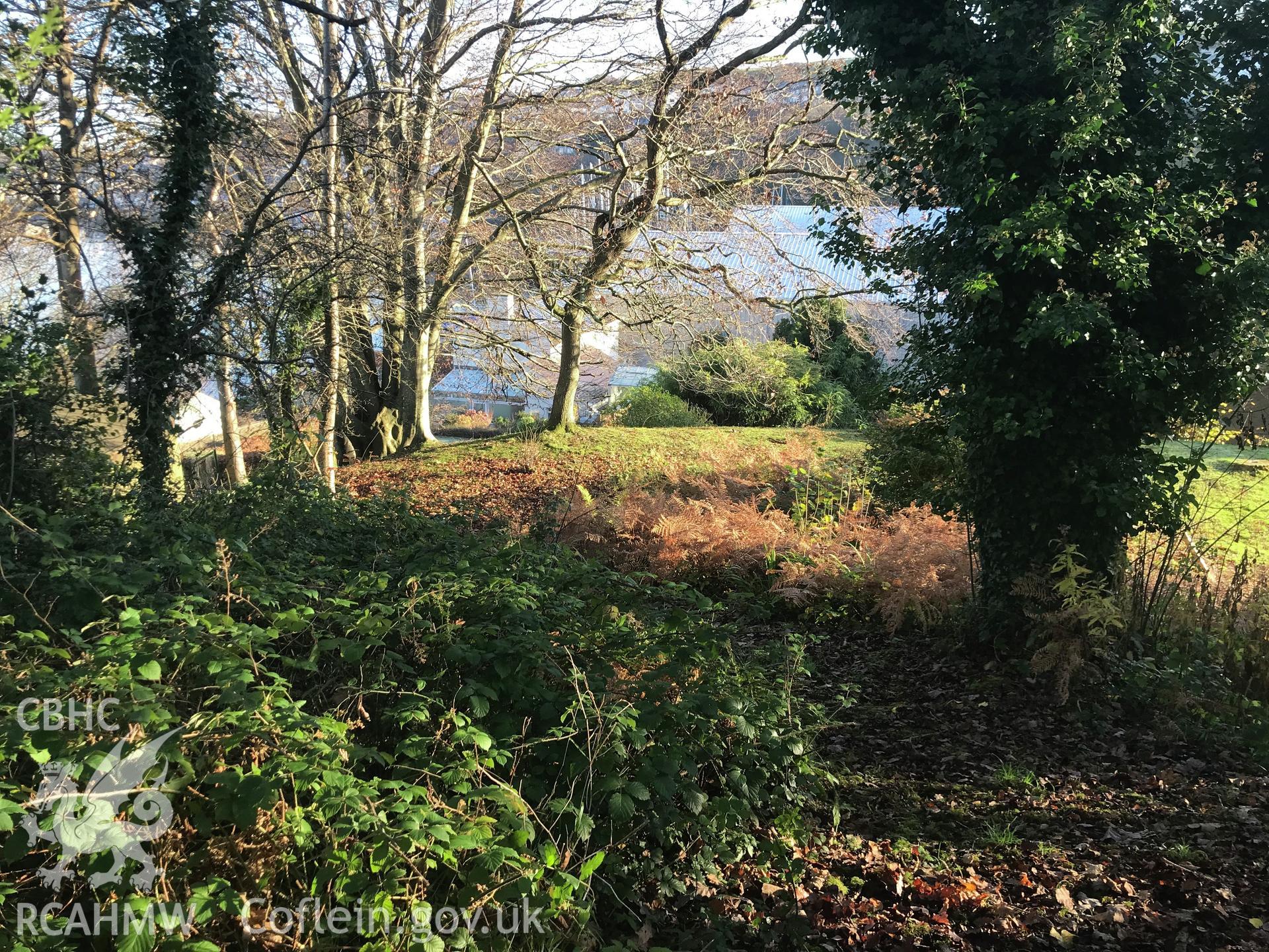 Digital colour photograph showing Dinas Camp promontory fort, Y Felinheli, taken by Paul Davis on 3rd December 2019.