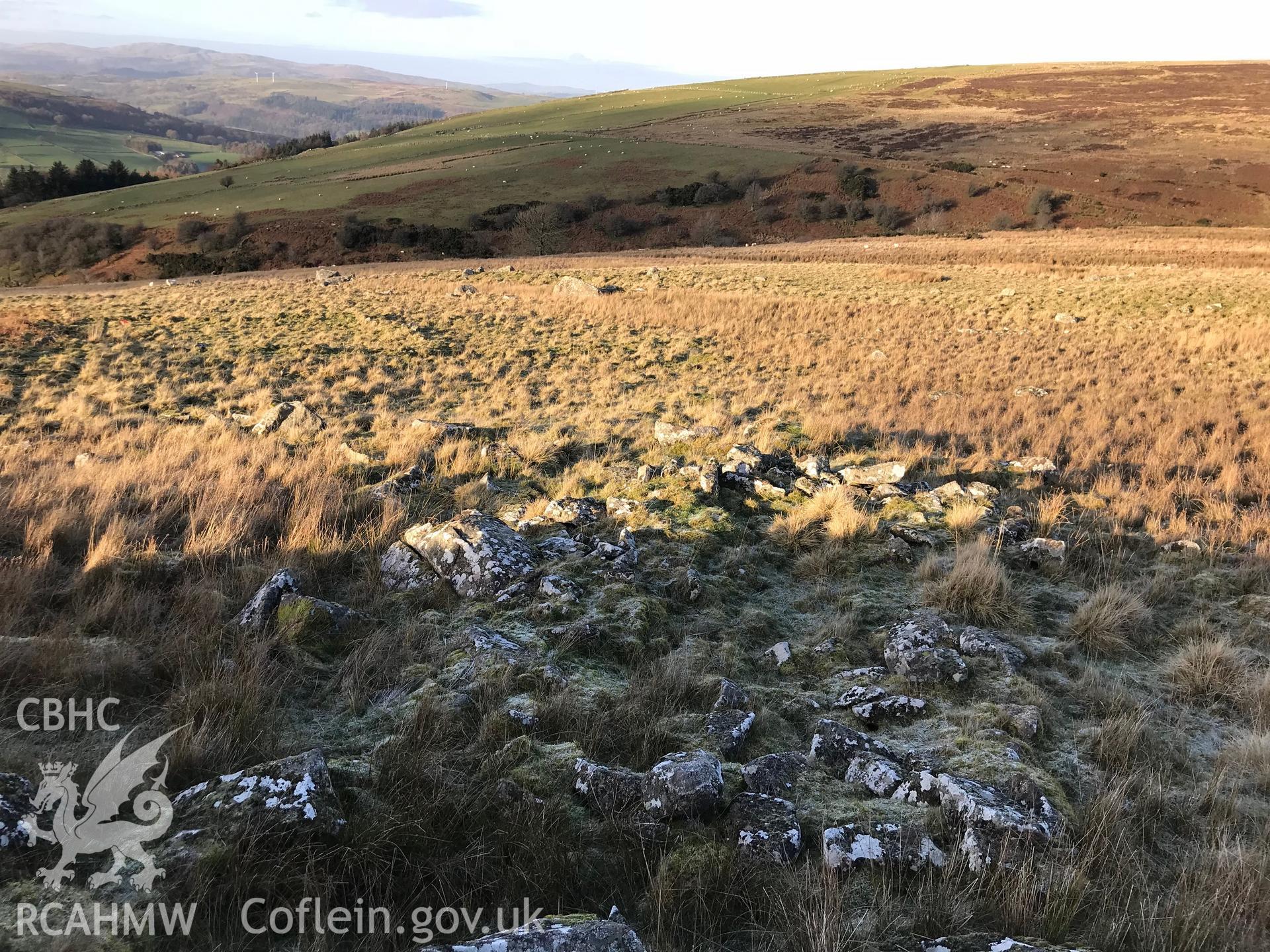 Detailed view showing stone-marked outline of possible Hafod at Ffridd Camen, Llandrillo. Colour photograph taken by Paul R. Davis on 2nd January 2019.