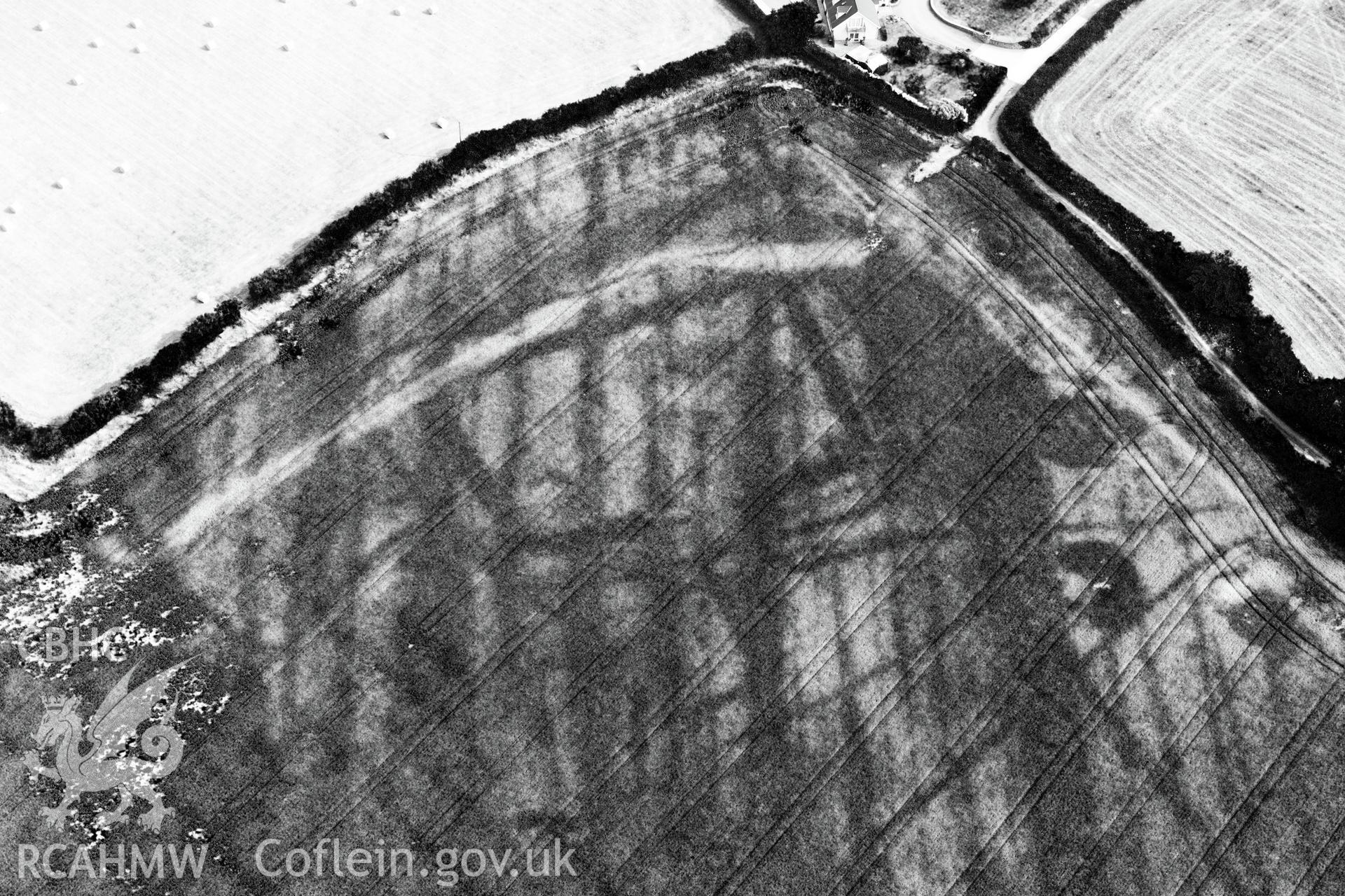 Royal Commission aerial photography of cropmarks at Moorlands Farm recorded during drought conditions on 22nd July 2013 at the time of their discovery.