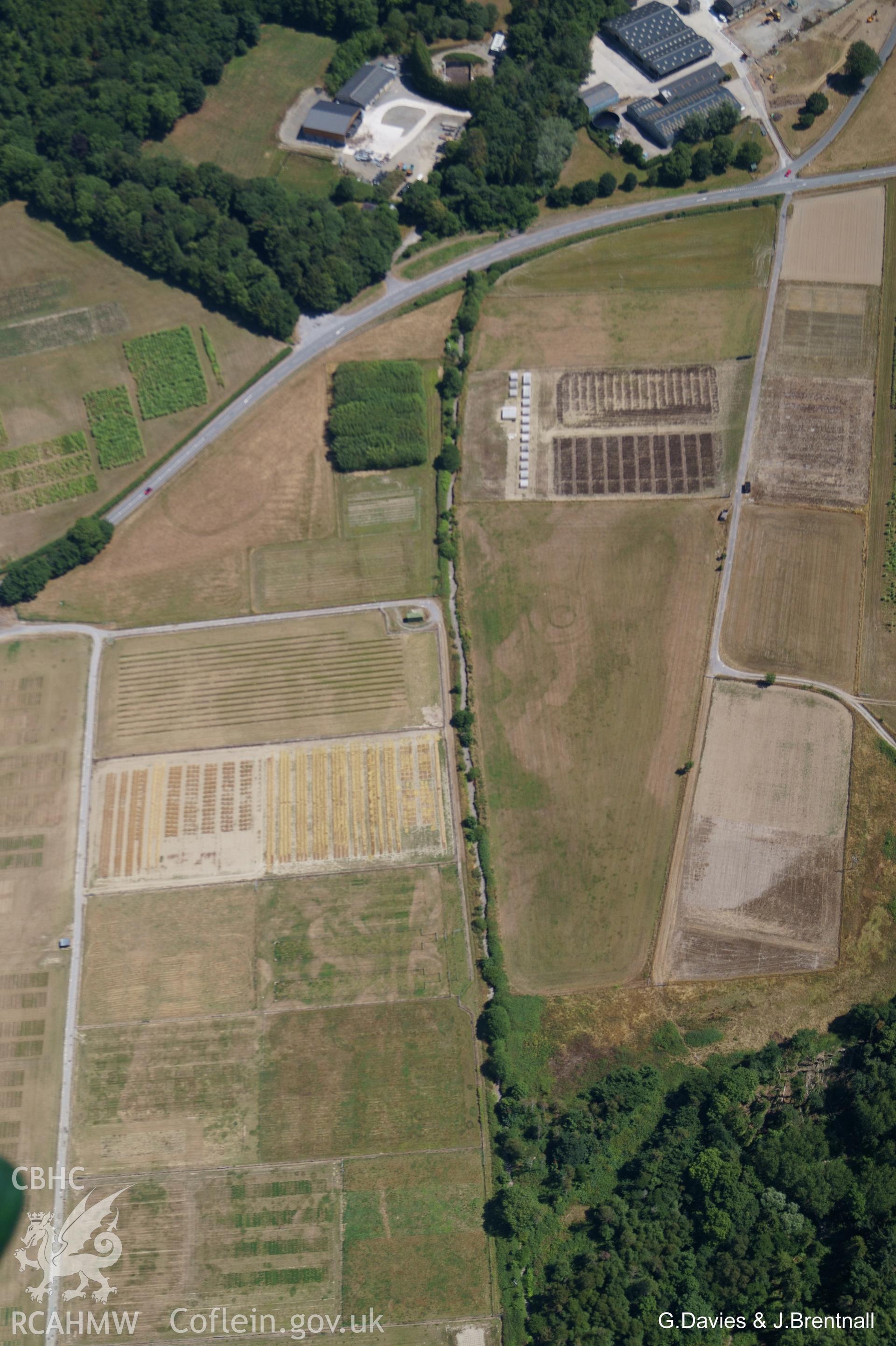 Aerial photograph of Gogerddan enclosure and surrounding cropmarks of possible interest, taken by Glyn Davies and Jonathan Brentnall on 22nd July 2018 under drought conditions.