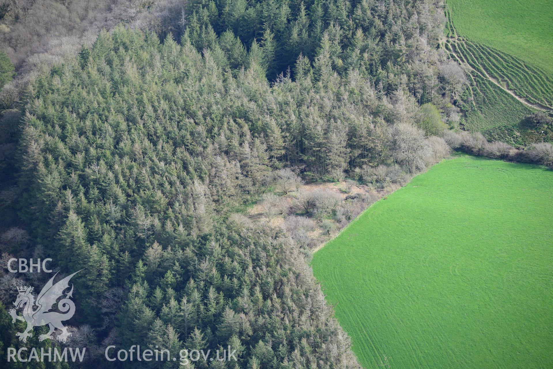 Castell Forlan. Oblique aerial photograph taken during the Royal Commission's programme of archaeological aerial reconnaissance by Toby Driver on 15th April 2015.