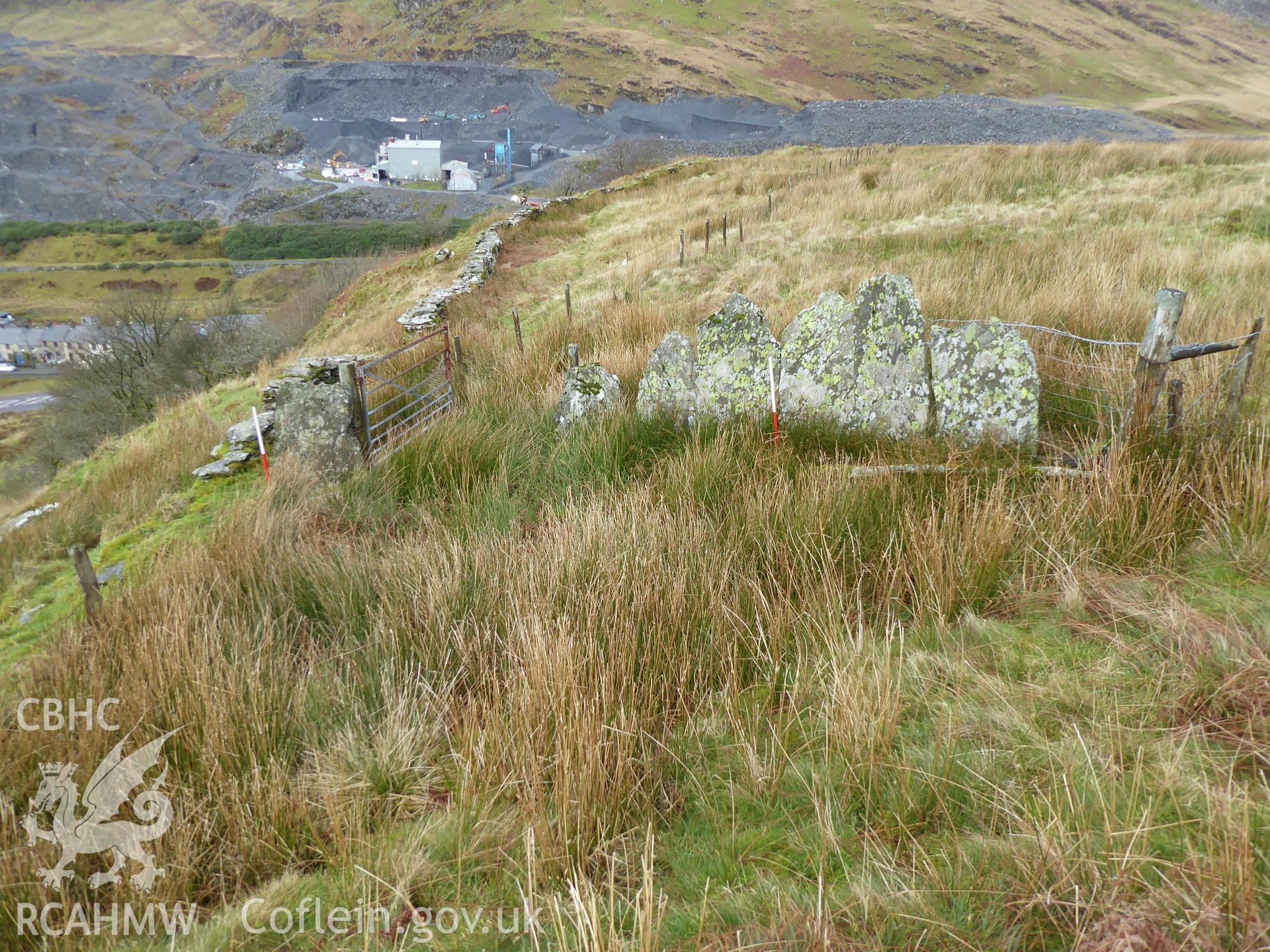 Tal-y-Waenydd stone fence, photographed on 11th February 2019 as part of archaeological assessment of Antur Stiniog Downhill Cycle Tracks Extension, conducted by I. P. Brooks of Engineering Archaeological Services Ltd.