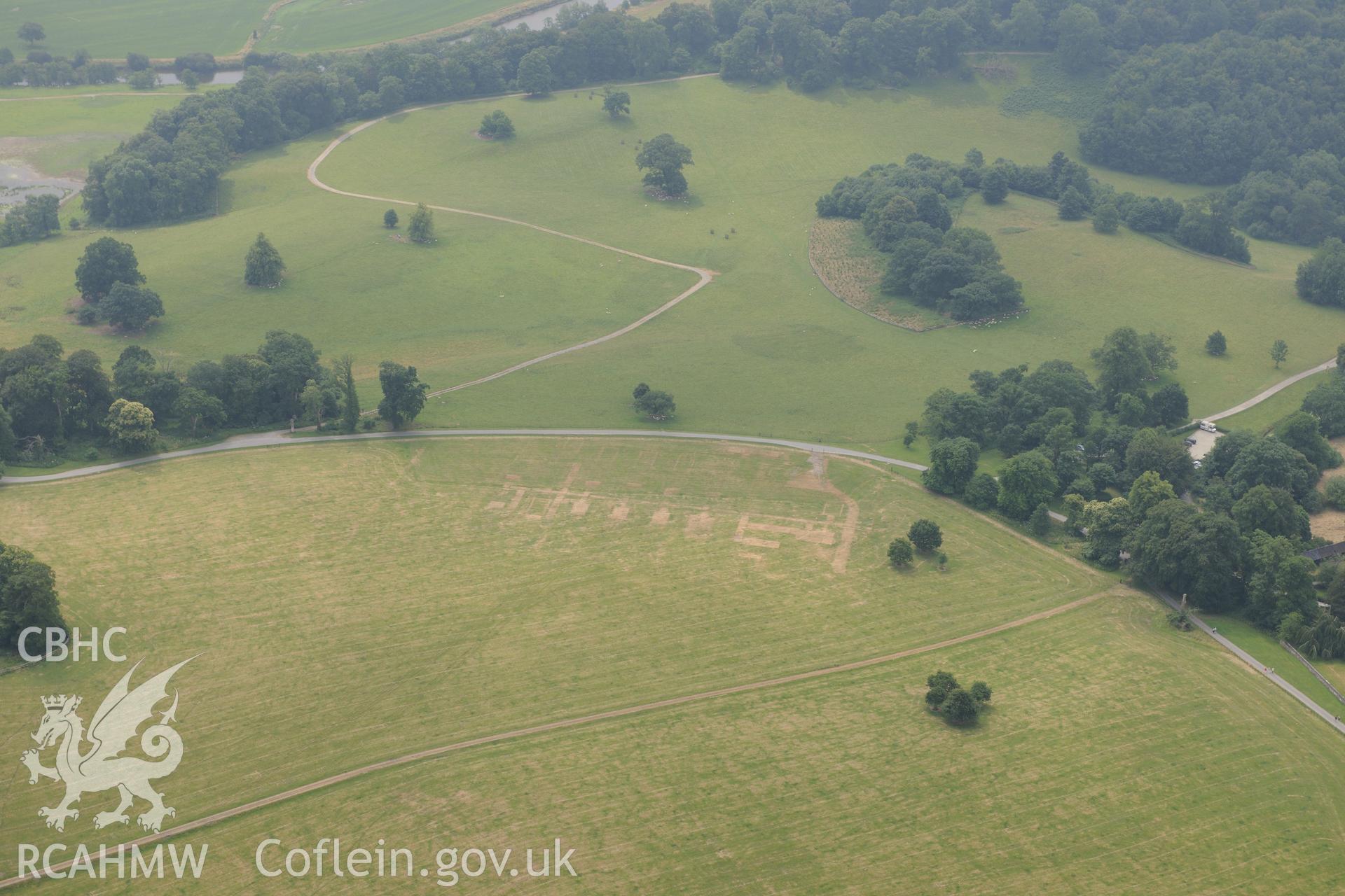 Royal Commission aerial photography of parchmarks in Dinefwr Park recorded during drought conditions on 22nd July 2013.