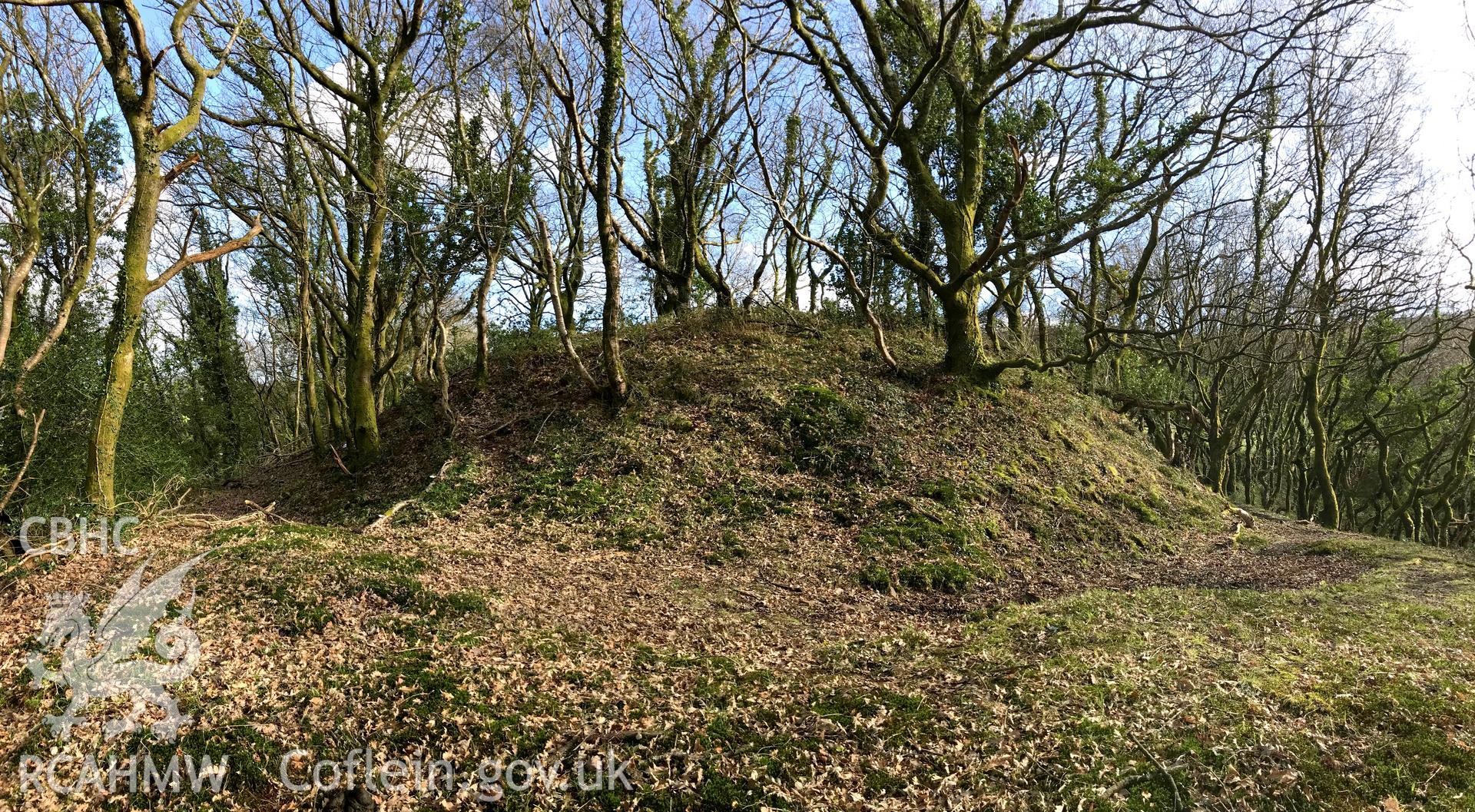 Colour photograph of Cwm Clais motte, west of Cwmafan, Port Talbot, taken by Paul R. Davis on 10th March 2019.