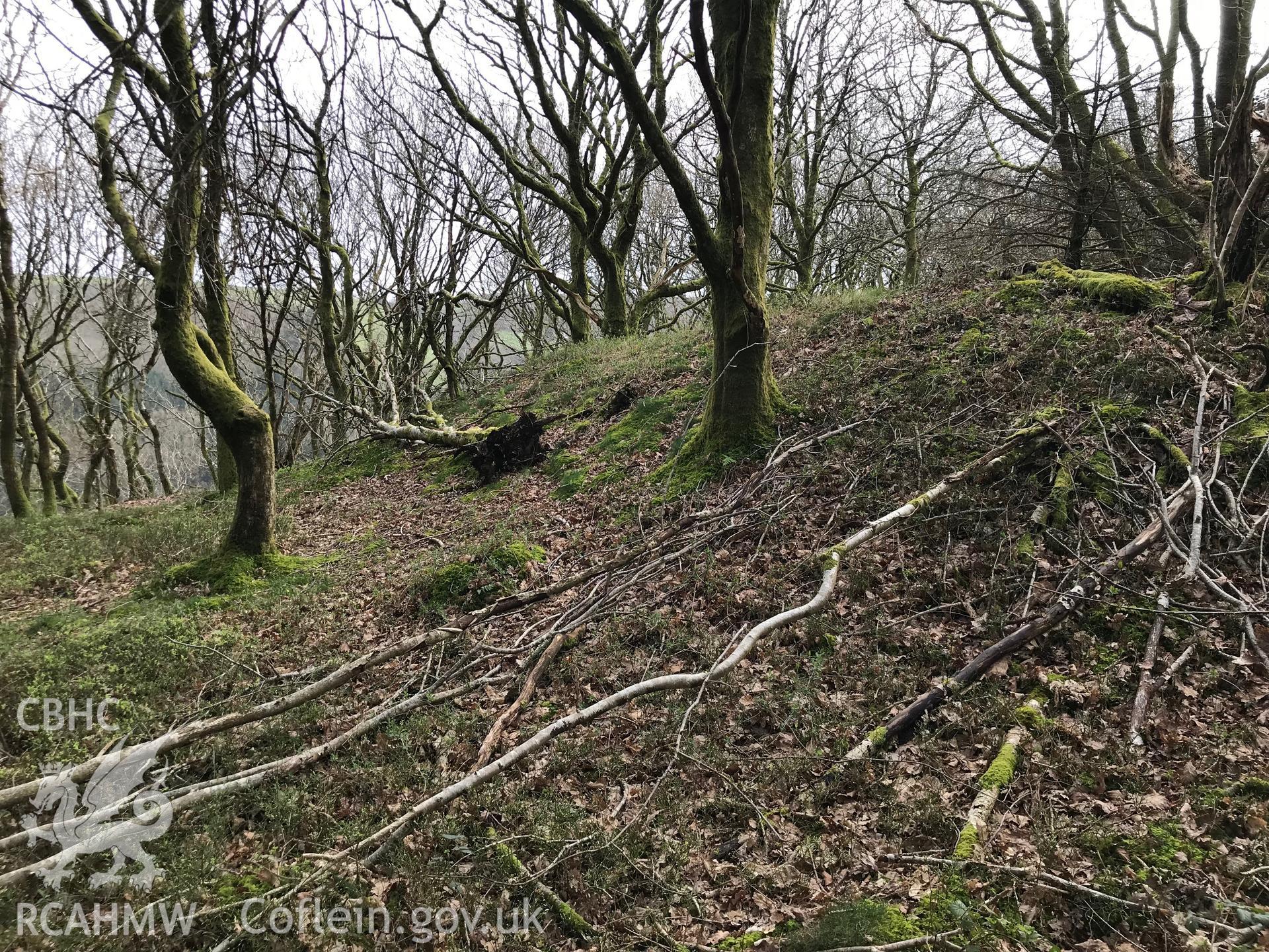 Colour photograph of Banc-y-Castell, north east of Goginan, Aberystwyth, taken by Paul R. Davis on 23rd March 2019.