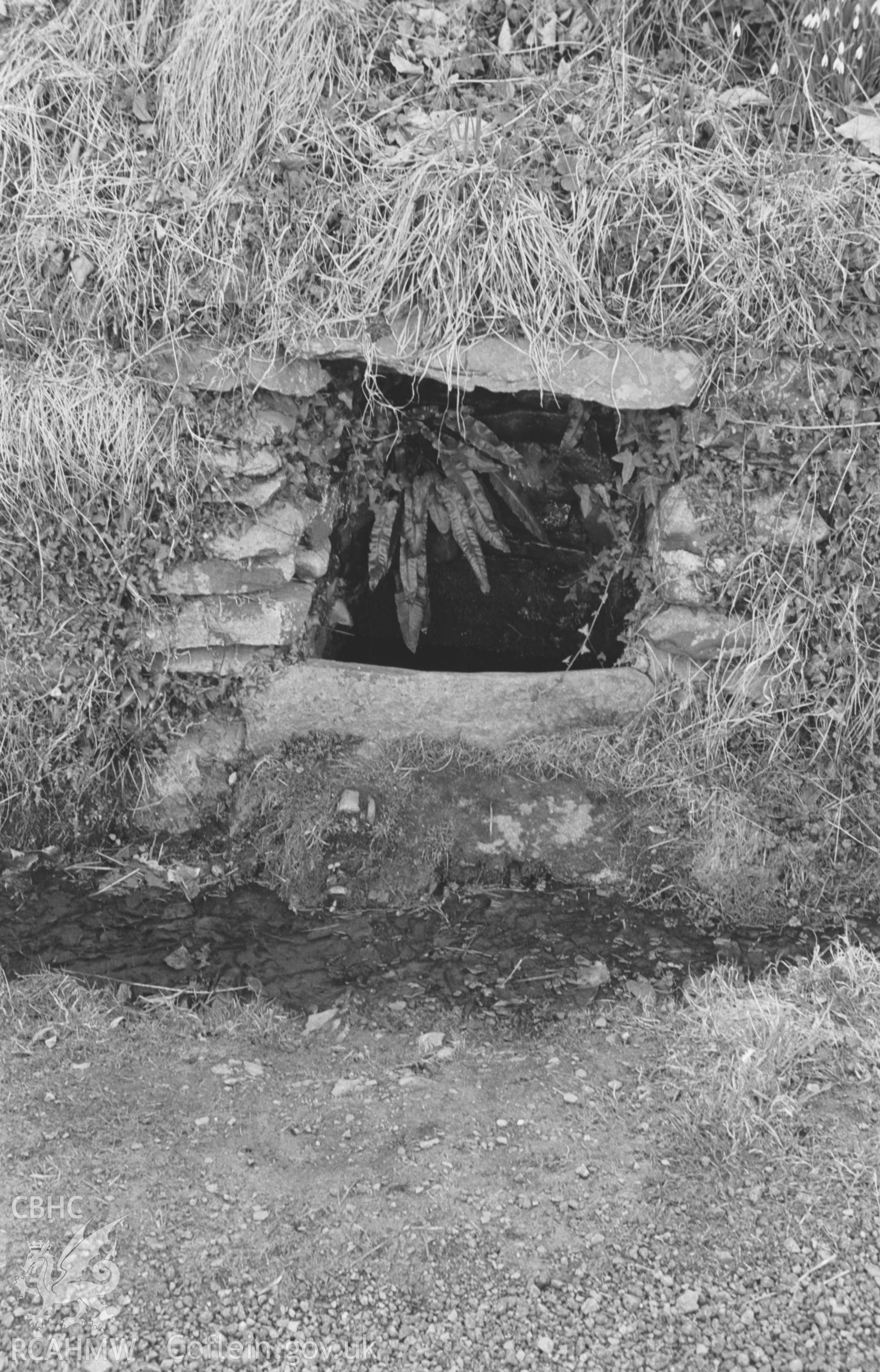 Black and White photograph showing roadside well on the south western bank of the Mabws road at Felin Rhiw-bwys, near Llanrhystyd. Photographed by Arthur Chater in April 1963 from Grid Reference SN 5475 6925, looking south west.