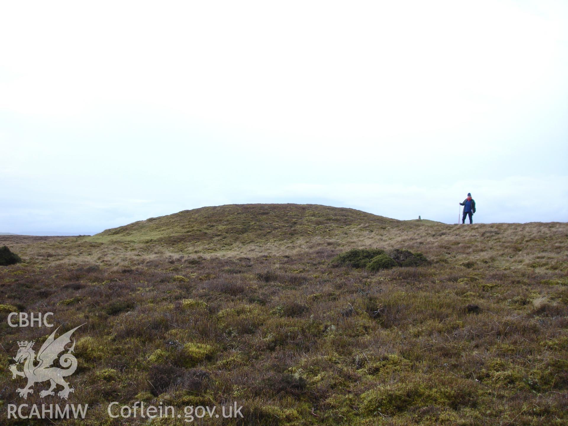 Digital colour photograph of Aberedw Hill barrow V taken on 12/01/2008 by R.P. Sambrook during the Aberedw Hill Upland Survey undertaken by Trysor.