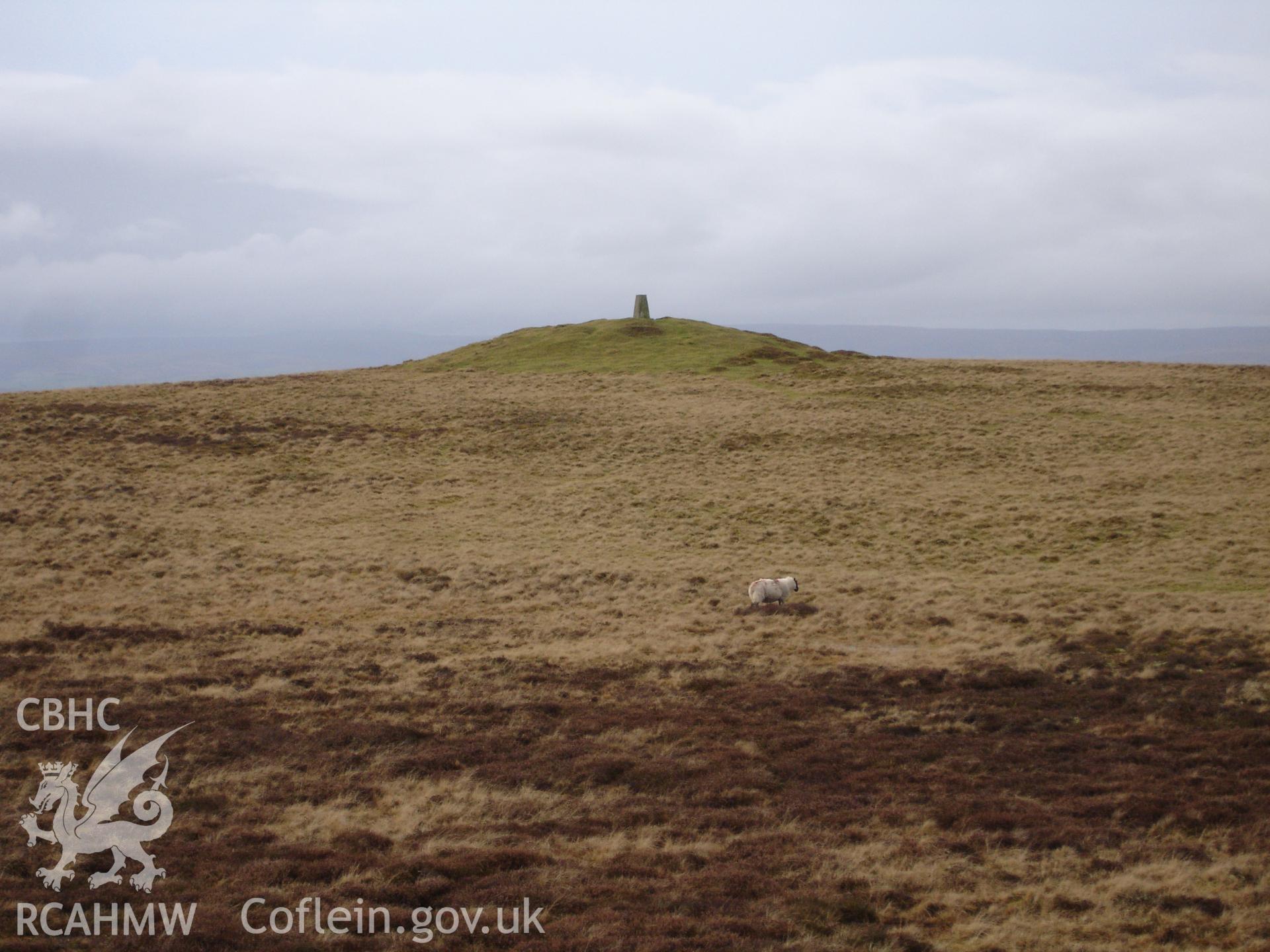 Digital colour photograph of Aberedw Hill barrow VI taken on 12/01/2008 by R.P. Sambrook during the Aberedw Hill Upland Survey undertaken by Trysor.