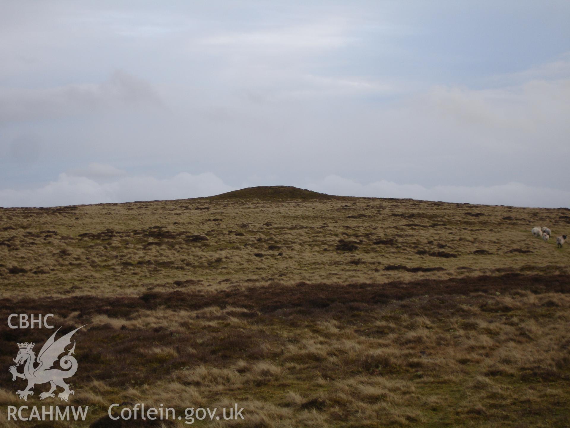 Digital colour photograph of Aberedw Hill cairn IV taken on 12/01/2008 by R.P. Sambrook during the Aberedw Hill Upland Survey undertaken by Trysor.