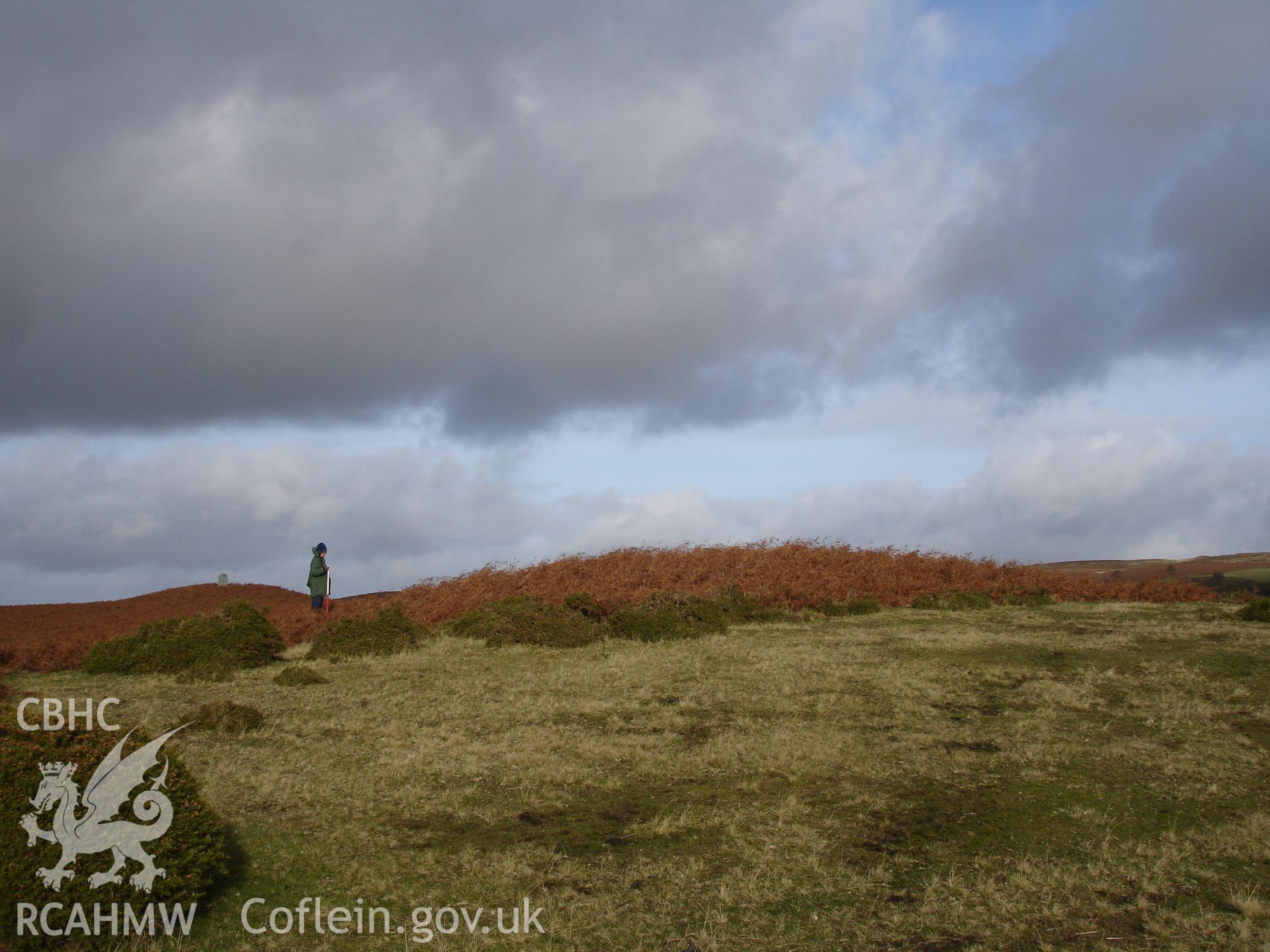 Digital colour photograph of Aberedw Hill barrow II taken on 25/11/2007 by R.P. Sambrook during the Aberedw Hill Upland Survey undertaken by Trysor.