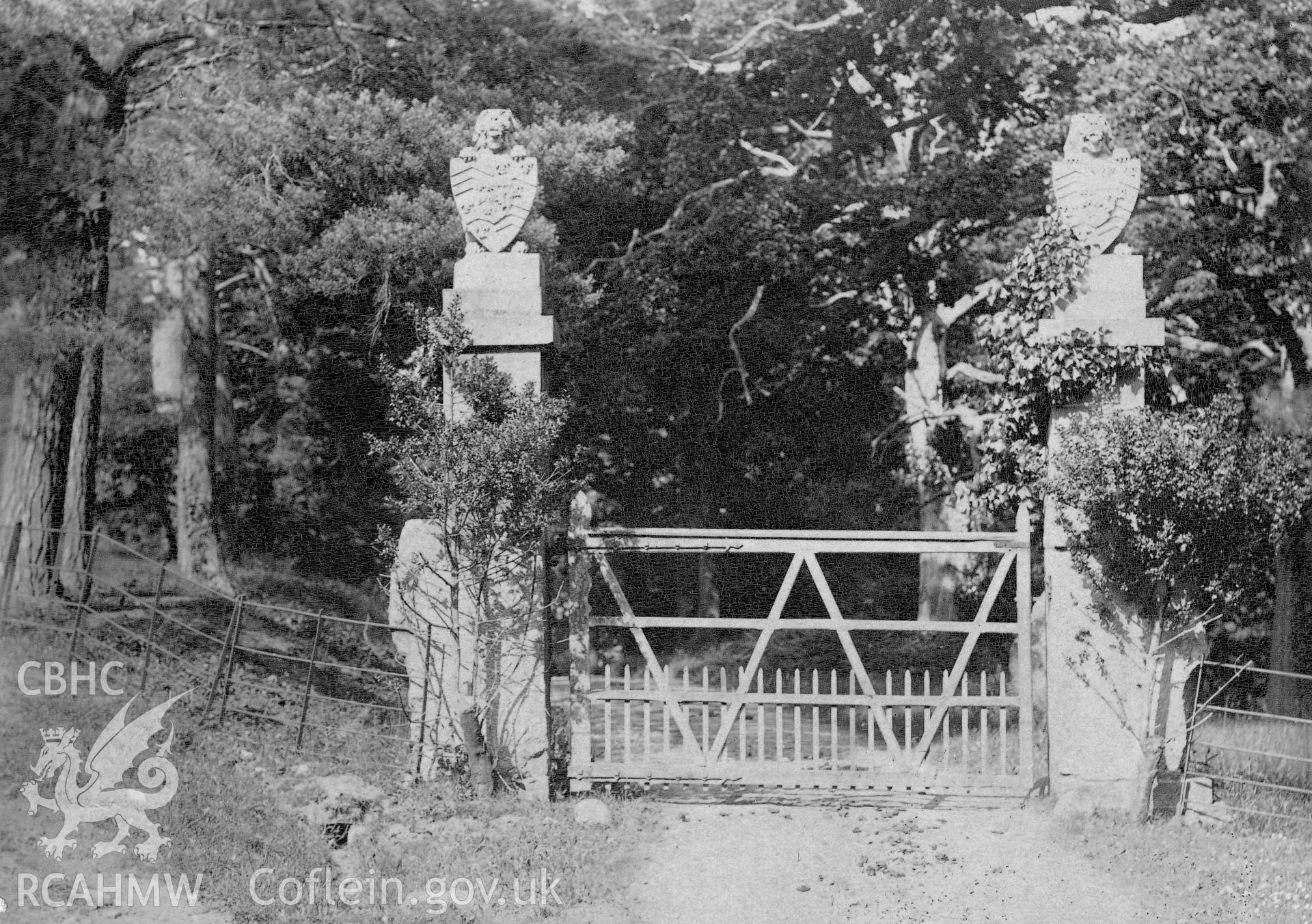 Postcard view showing Maesgwynne, Llanboidy.