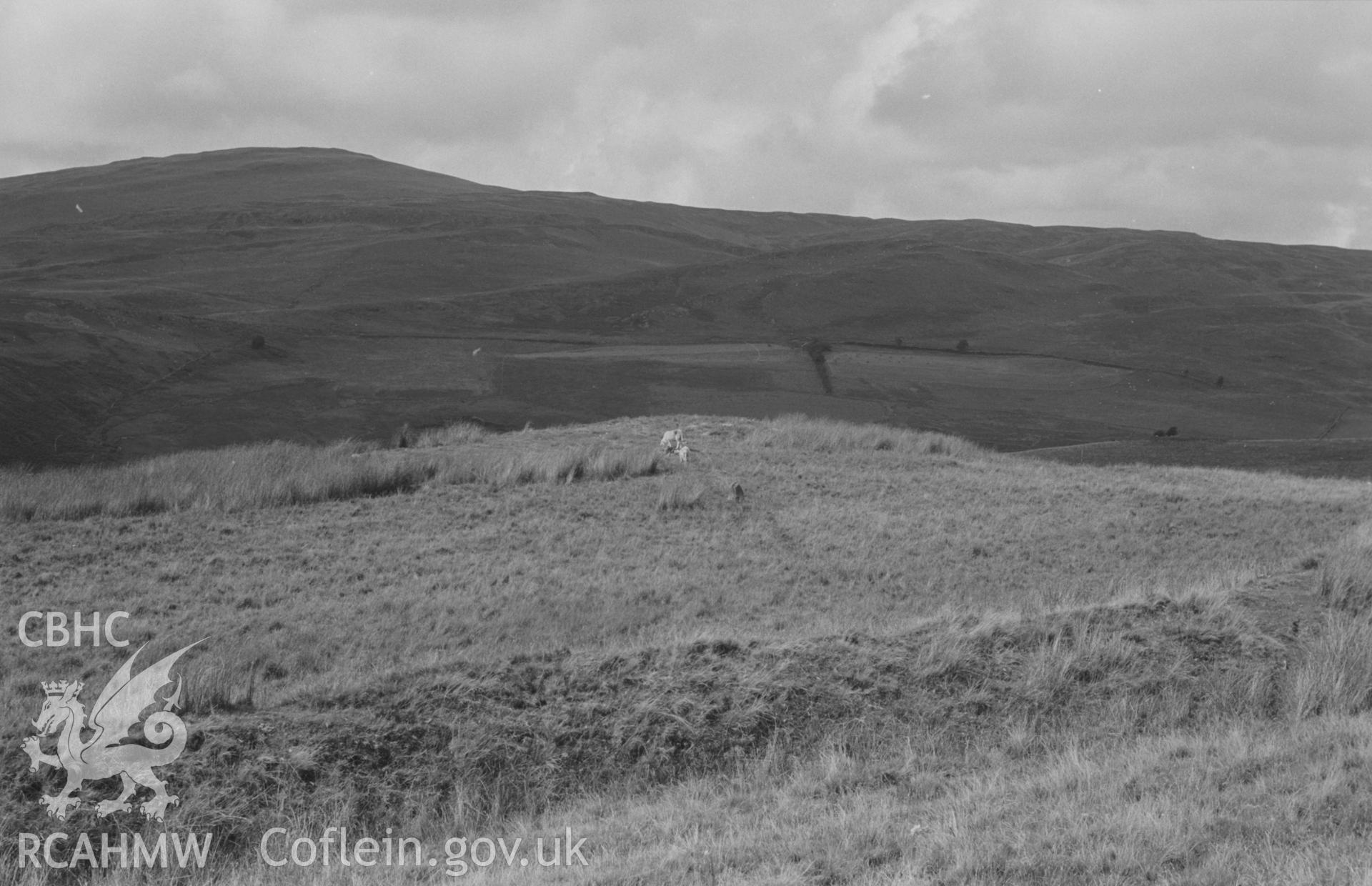 Digital copy of a black and white negative showing the remains of Carn Lwyd round barrow, 500m south of Hirnant, at 1066ft altitude. Photographed by Arthur O. Chater in August 1967. (Looking north west from Grid Referene SN 753 834).