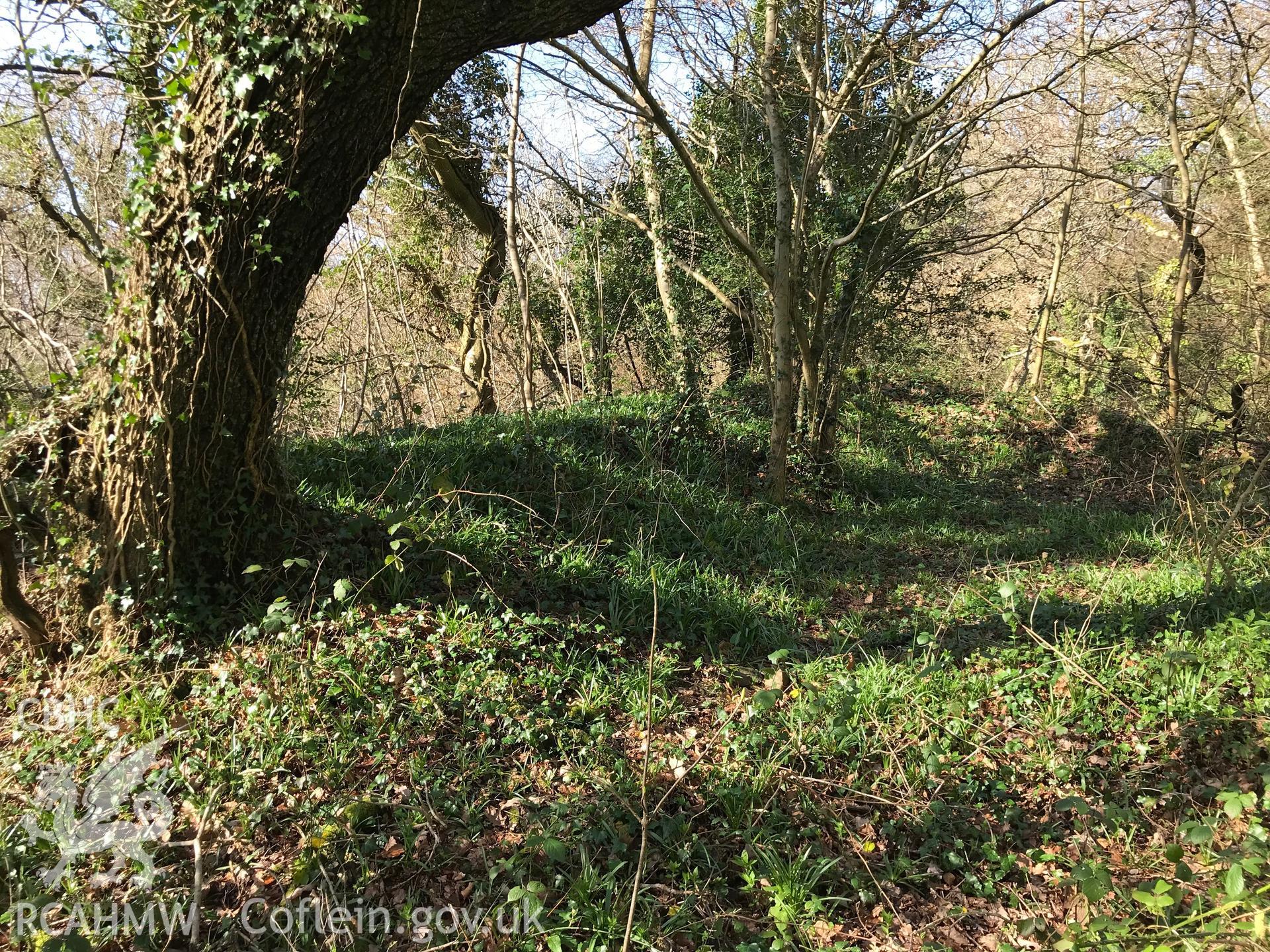 Digital colour photograph of the abandoned Plas Baglan, Baglan, south of Neath, taken by Paul R. Davis on 10th March 2019.