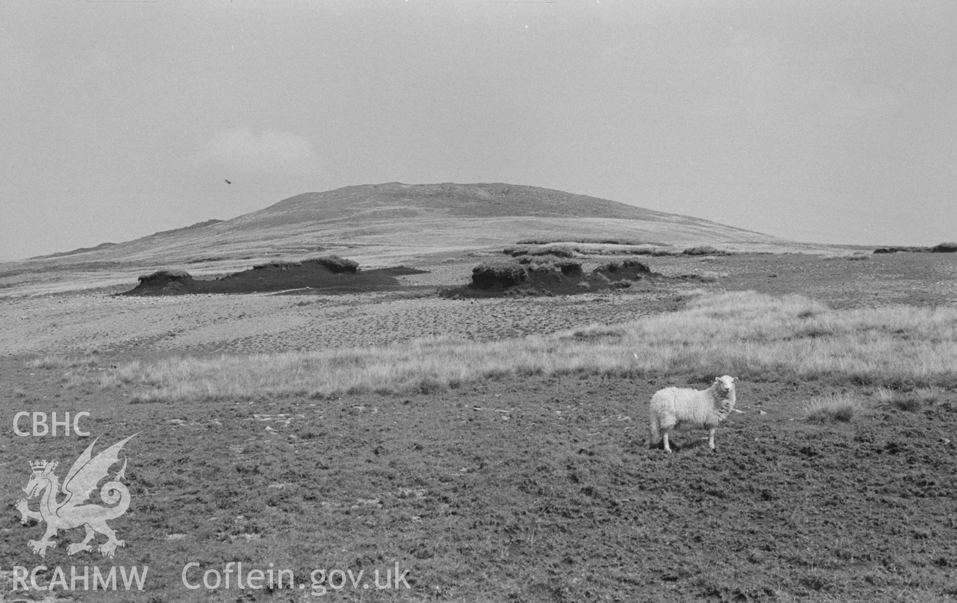 Digital copy of a black and white negative showing view along the ridge past eroded peat hags to Pen Pumlumon-Arwystli. Photographed by Arthur O. Chater in August 1967. (Looking east north east from Grid Reference SN 812 876).