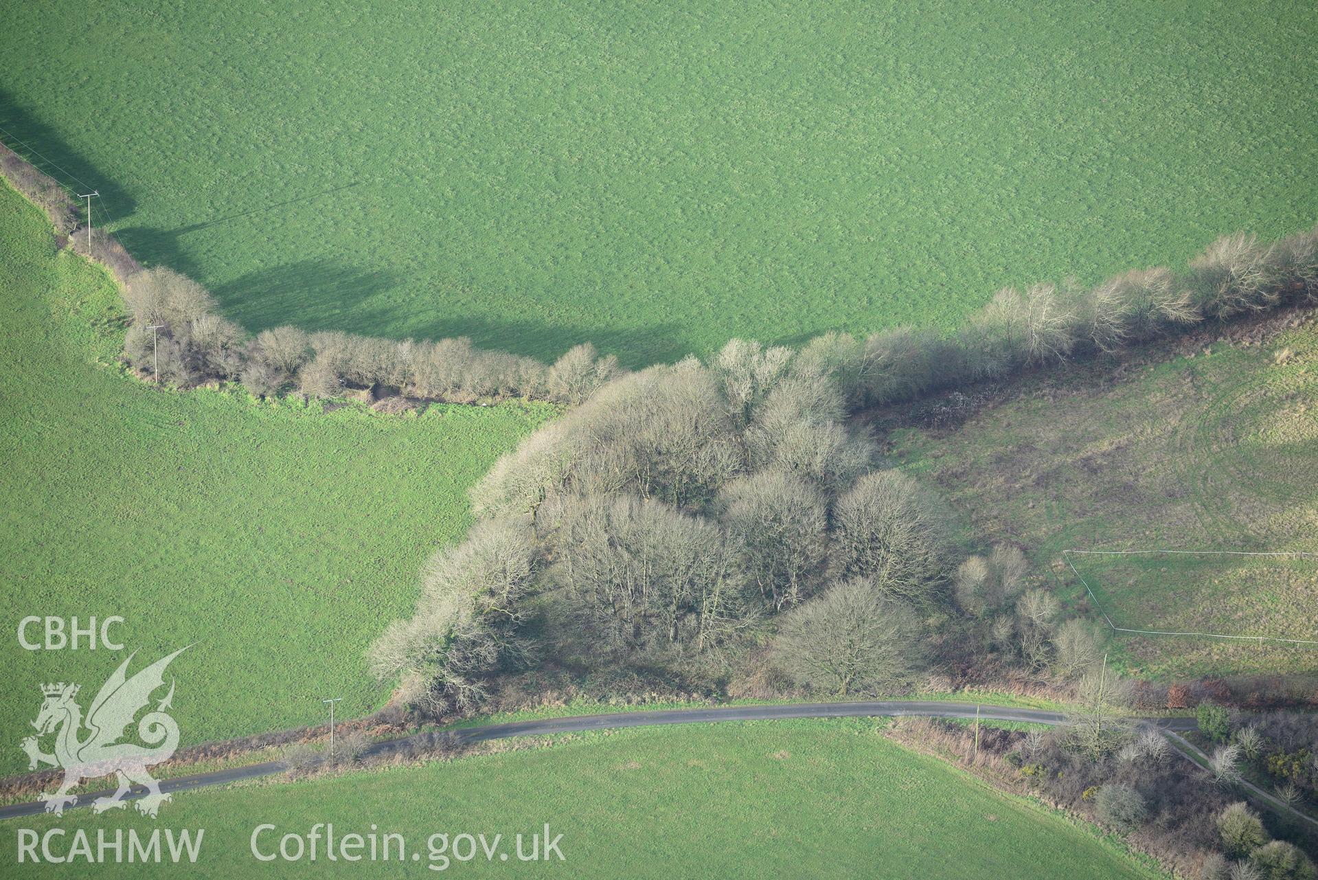 Gaer Fach defended enclosure, Cribyn. Oblique aerial photograph taken during the Royal Commission's programme of archaeological aerial reconnaissance by Toby Driver on 6th January 2015.