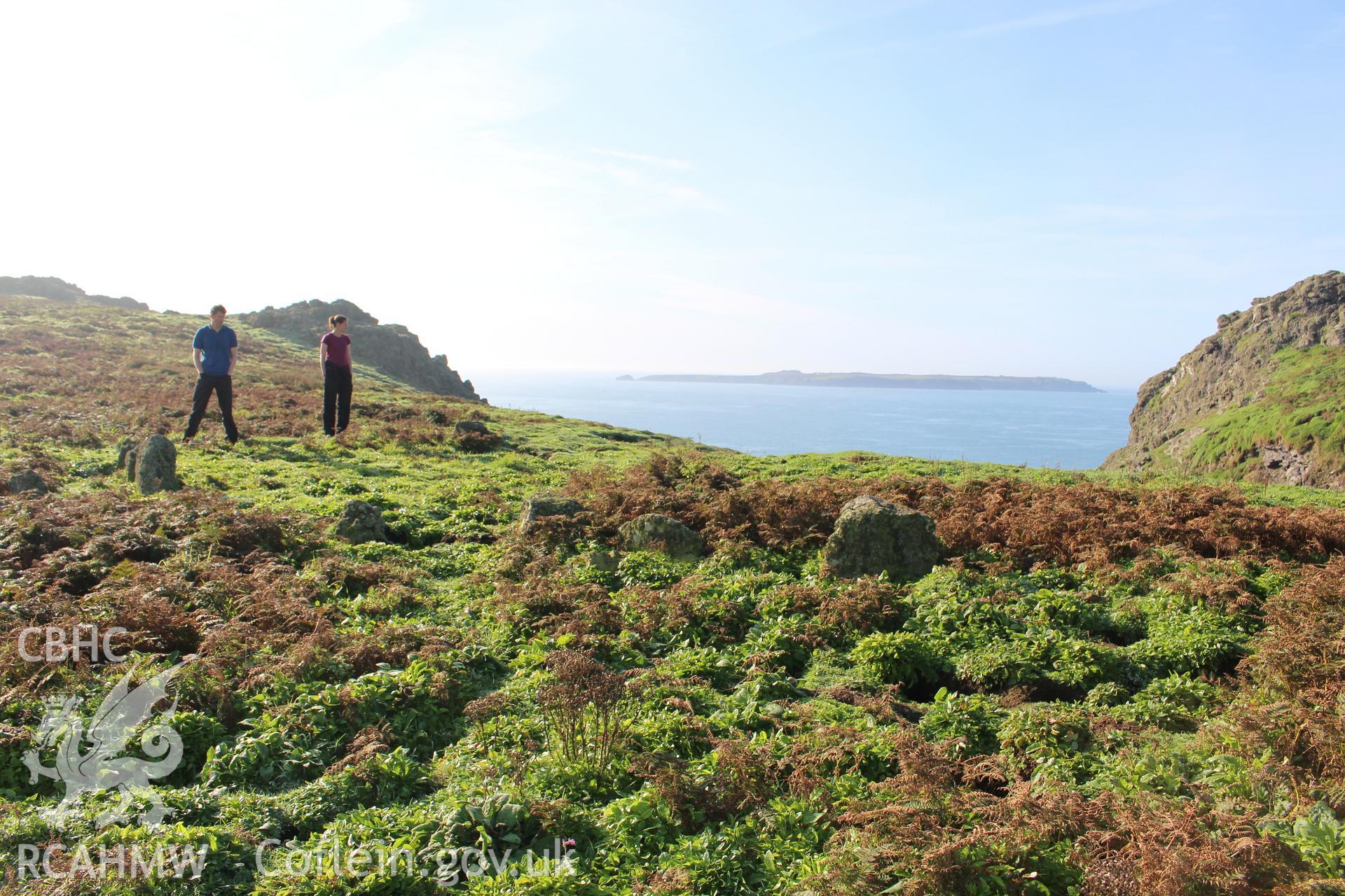 Investigator's photography of The Churchyard stone setting on Skomer Island, taken in September 2016.