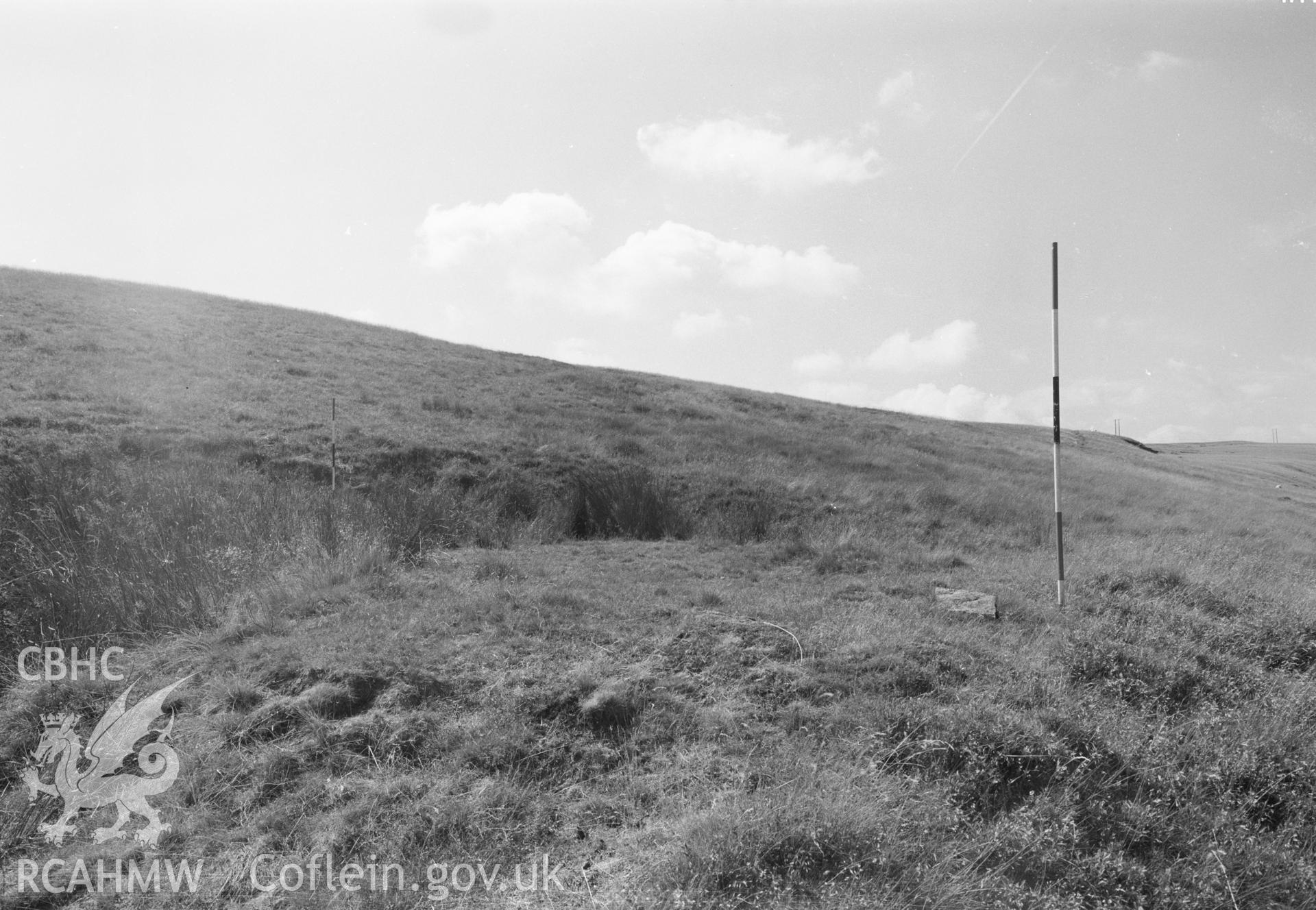 Digital copy of a black and white negative showing view of platform house, medieval earthworks in Ferndale.