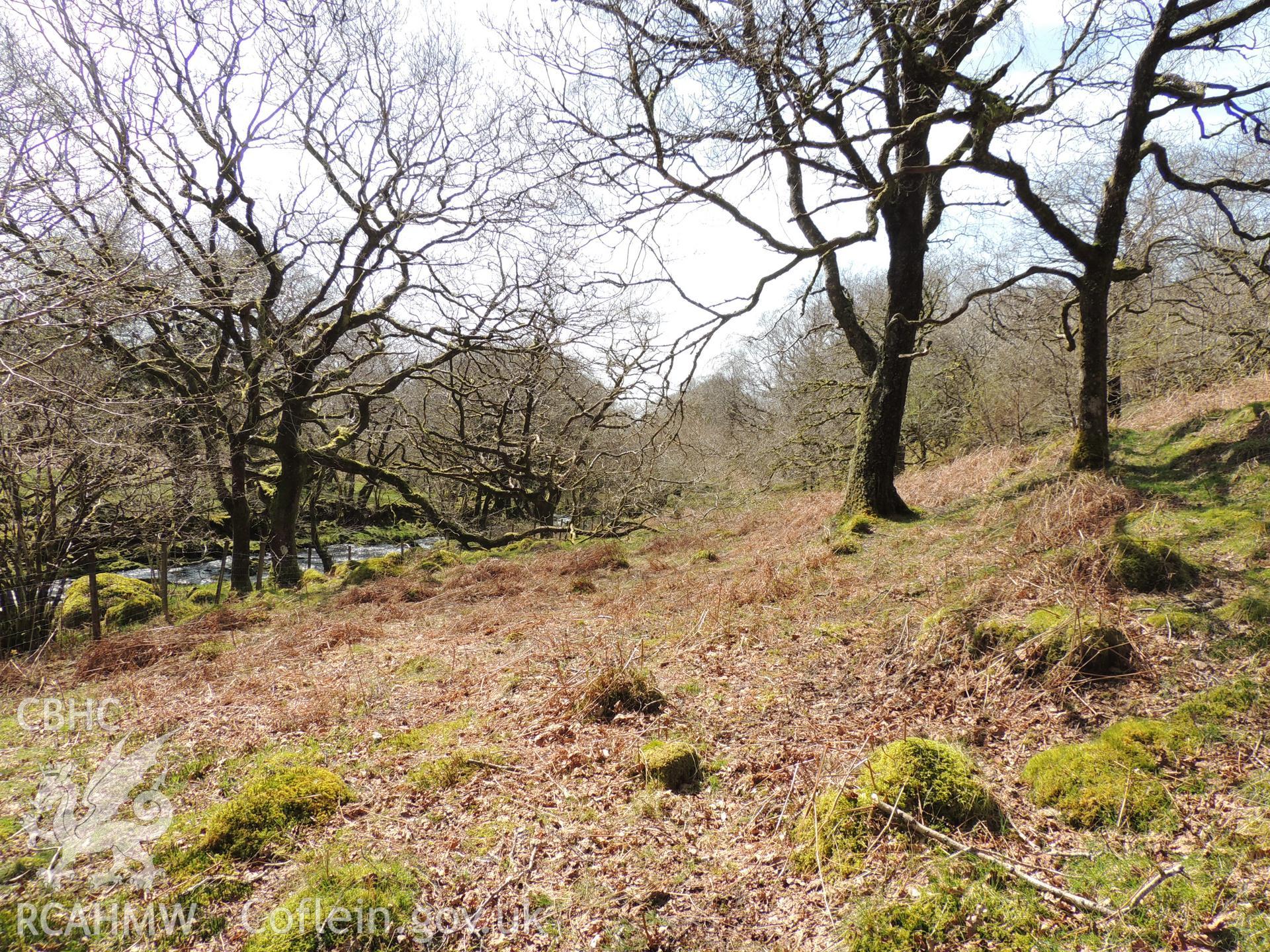 'Penstock Route at approximately SH62592 44241. Looking south west.' Photographed as part of desk based assessment and heritage impact assessment of a hydro scheme on the Afon Croesor, Brondanw Estate, Gwynedd. Produced by Archaeology Wales, 2018.