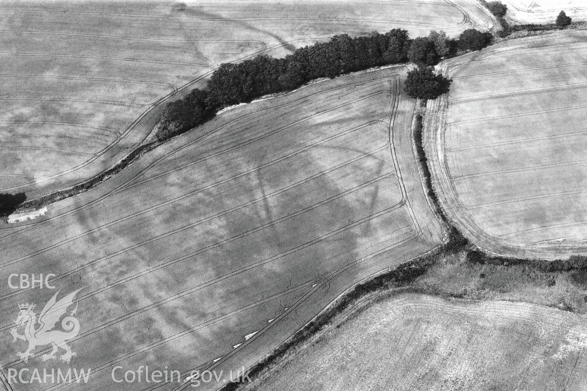 Cropmark showing the Malthouse Road defended enclosure, near Caerleon, north of Newport. Oblique aerial photograph taken during the Royal Commission?s programme of archaeological aerial reconnaissance by Toby Driver on 1st August 2013.