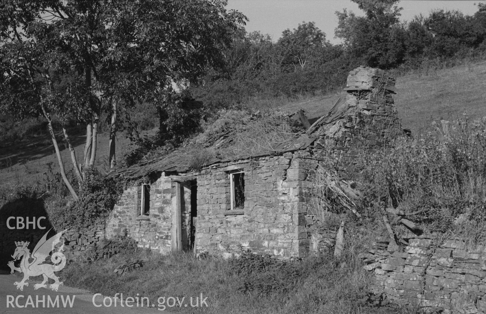 Digital copy of a black and white negative showing ruined roadside cottage at Tan-y-Fron, 150 metres east of Ganarberth, Llechryd. Photographed by Arthur O. Chater on 11th September 1964 from Grid Reference SN 2217 4391, looking north east.