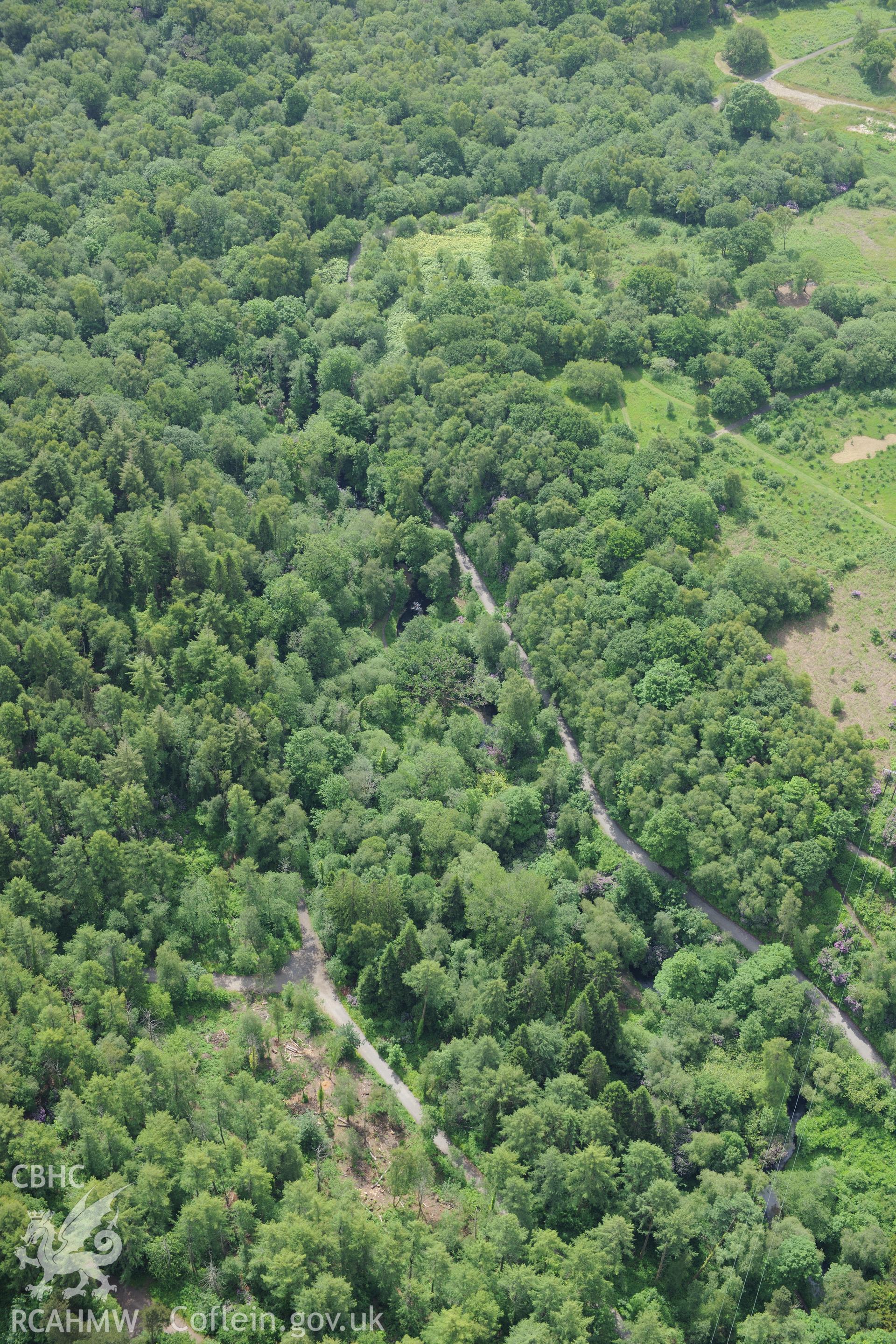 Penllergaer Park, Swansea. Oblique aerial photograph taken during the Royal Commission's programme of archaeological aerial reconnaissance by Toby Driver on 19th June 2015.