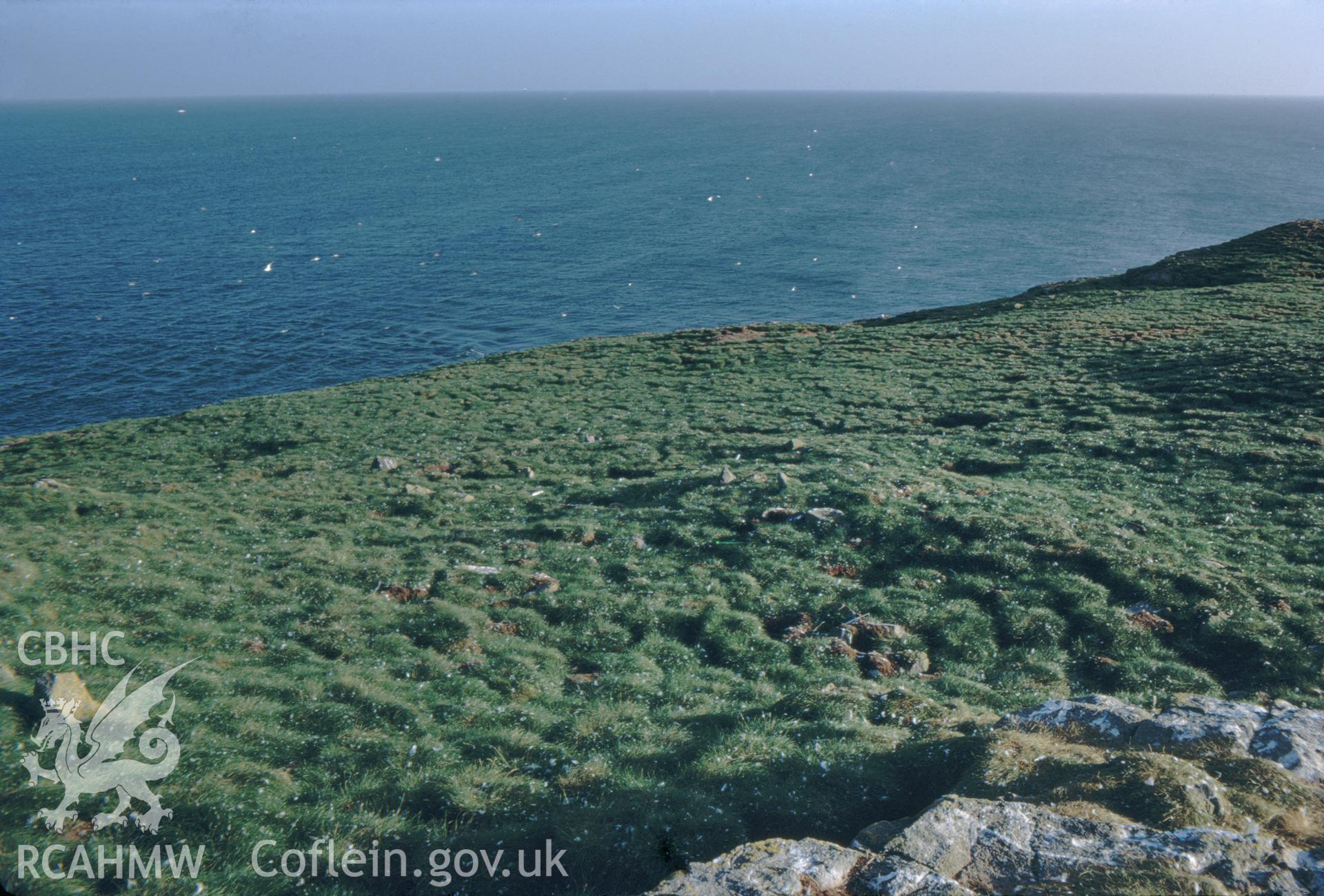 Digital copy of a colour slide showing bomb craters and south-west slope of an apparent Iron Age site on Grassholm Island, taken by Douglas Hague, August 1972.