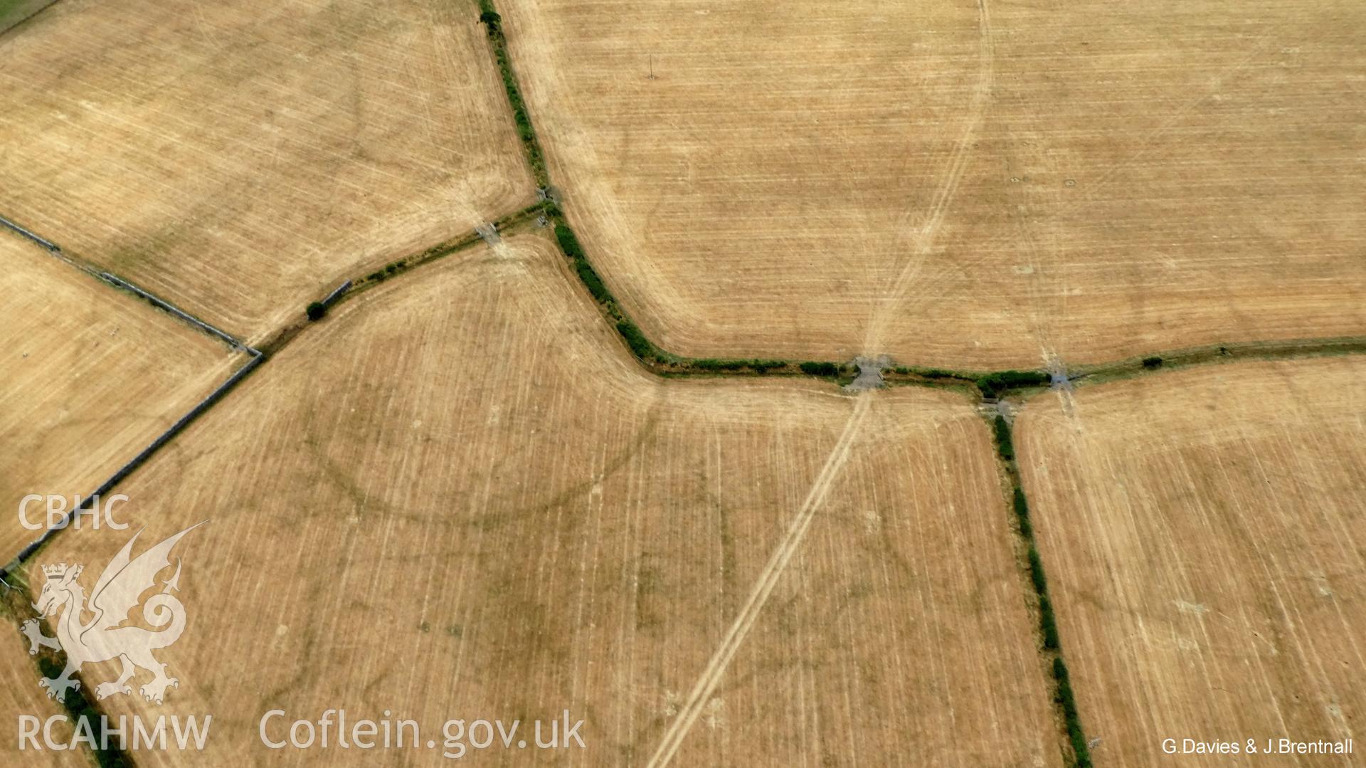 Aerial photograph of enclosure complex west of Gwyddelfynydd farm, taken by Glyn Davies & Jonathan Brentnall under drought conditions 15/07/2018. This photograph has been modified to enhance visibility of the archaeology. Original photograph: BDC_01_02_04.