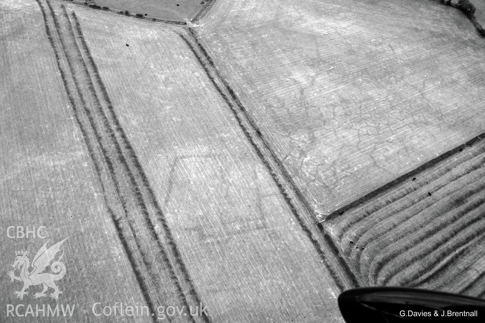 Aerial photograph of cropmarks south east of Ynysmaengwyn caravan park, taken by Glyn Davies & Jonathan Brentnall 16/07/2018 under drought conditions. Photograph has been modified to enhance visibility of the archaeology. Original photograph: BDC_04_02_03