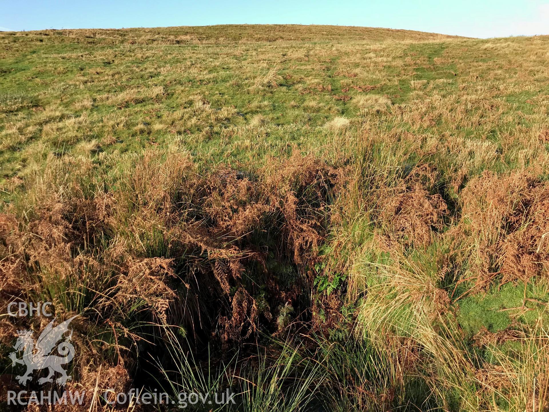 View of marshland around Ffynnon-y-Myneich, Llanwddyn. Colour photograph taken by Paul R. Davis on 2nd January 2019.