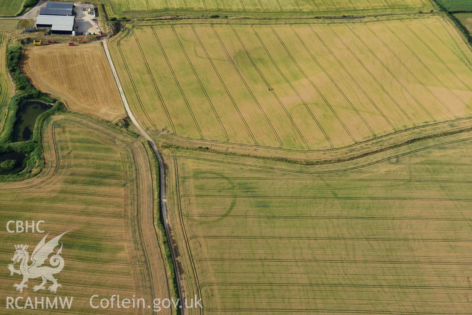 Royal Commission aerial photography of Paviland Manor cropmark complex, south-west circular enclosure, taken on 17th July 2018 during the 2018 drought.