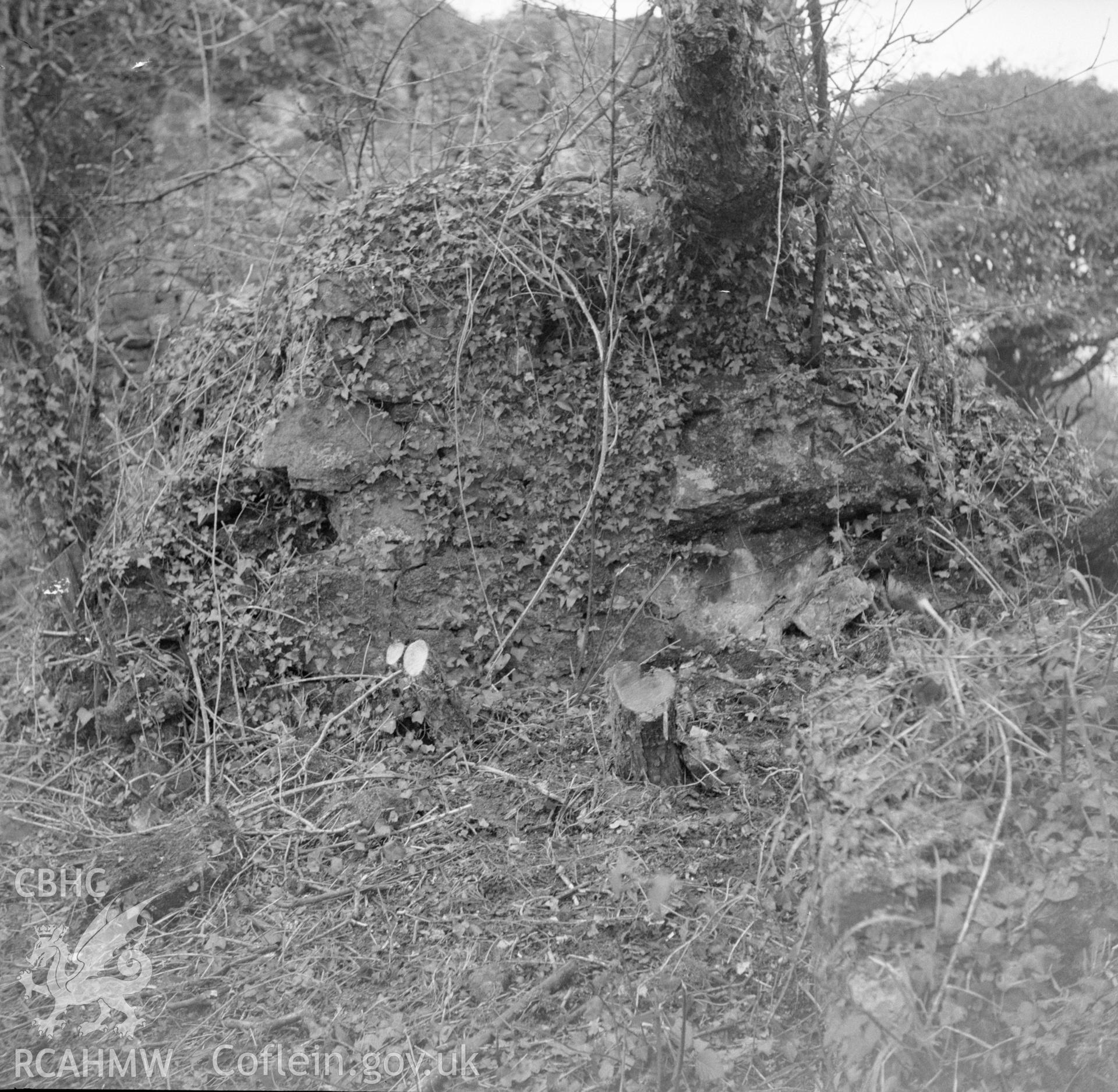 Digital copy of an acetate negative showing Haroldston, 5th December 1956.