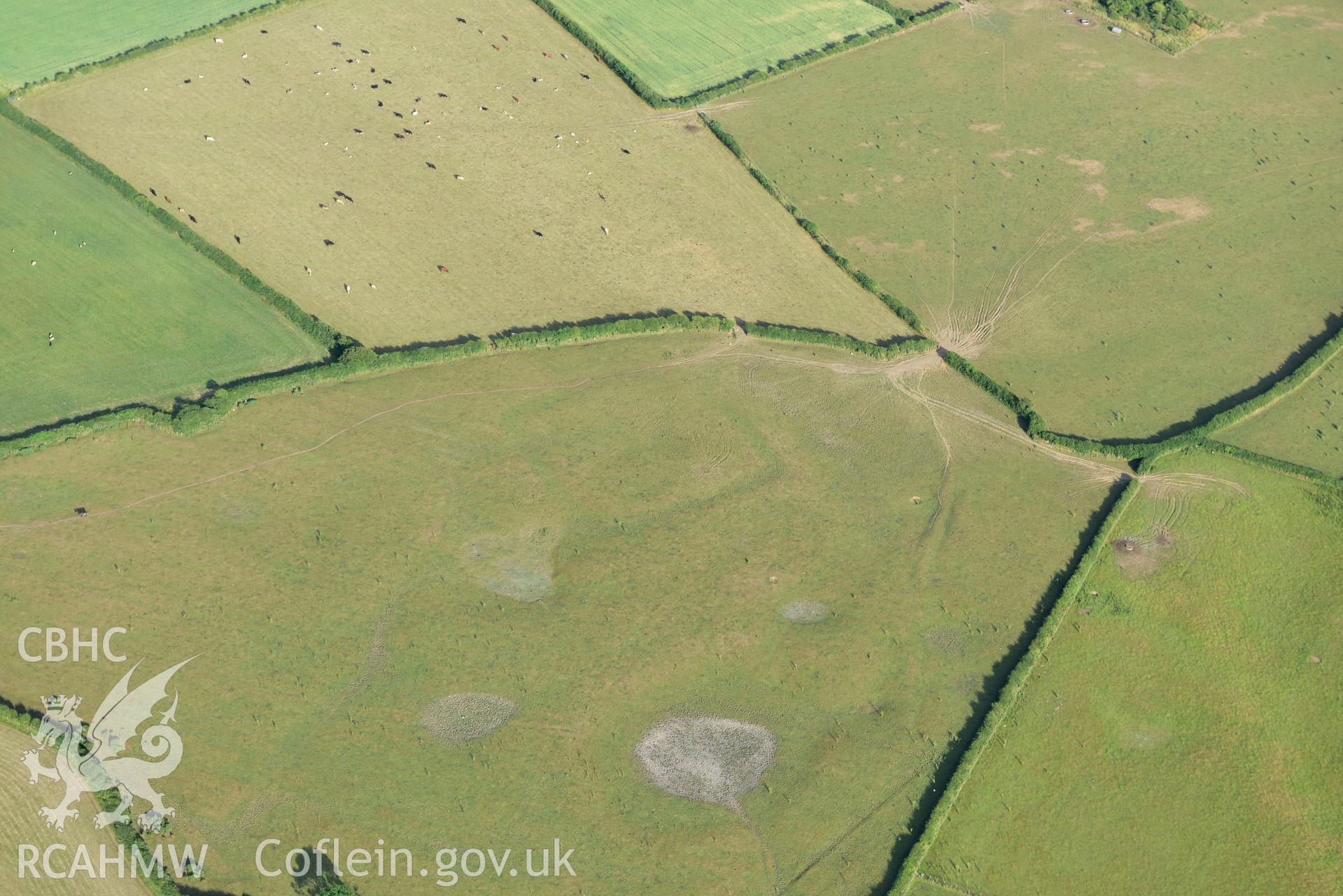 Royal Commission aerial photography of earthworks southwest of Llanddewi Church, with parching, taken on 17th July 2018 during the 2018 drought.