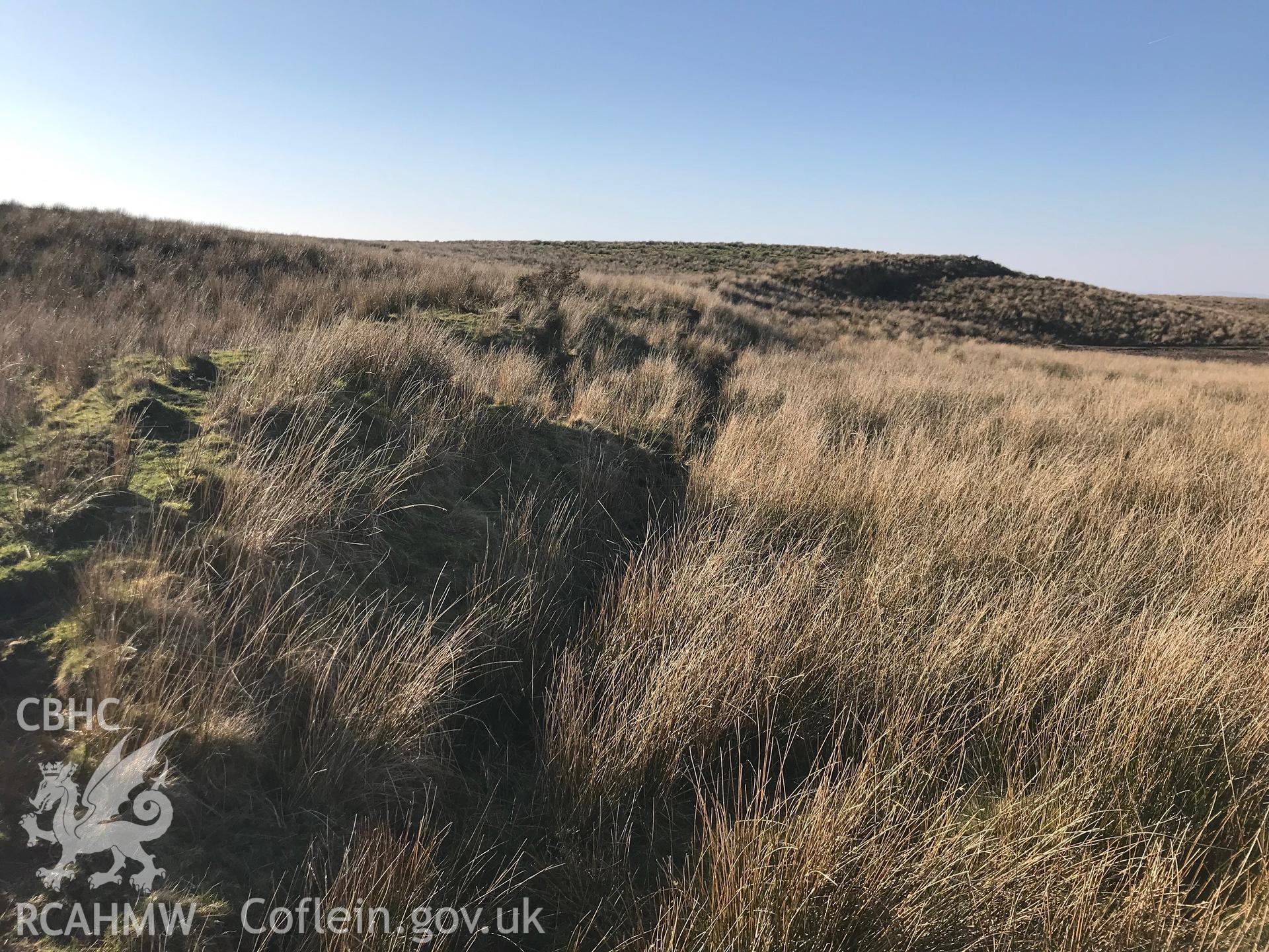 Colour photograph of Cefn Morfudd dyke, Tonna, east of Neath, taken by Paul R. Davis on 27th February 2019.