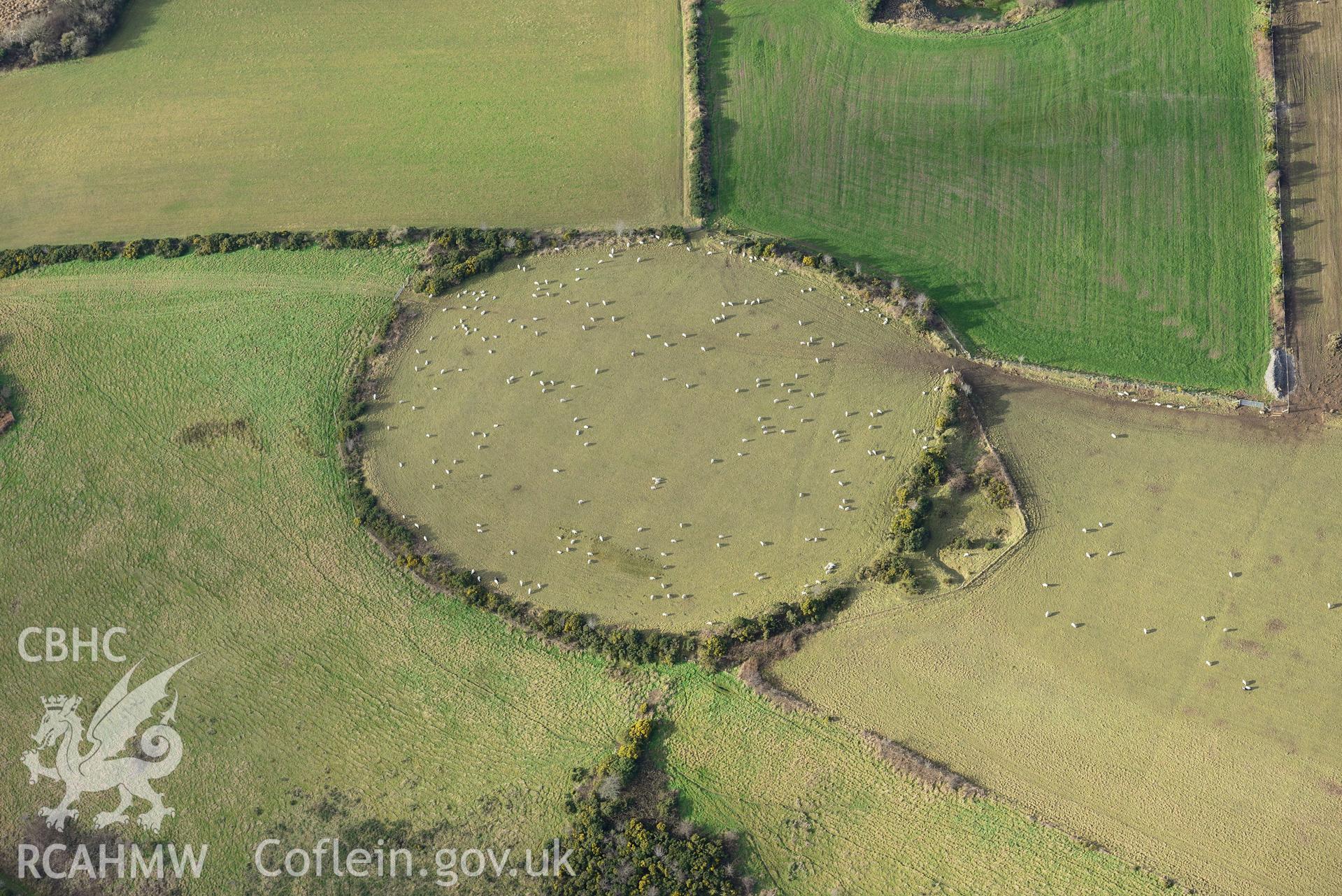 Cribyn Clottas Hillfort. Oblique aerial photograph taken during the Royal Commission's programme of archaeological aerial reconnaissance by Toby Driver on 6th January 2015.