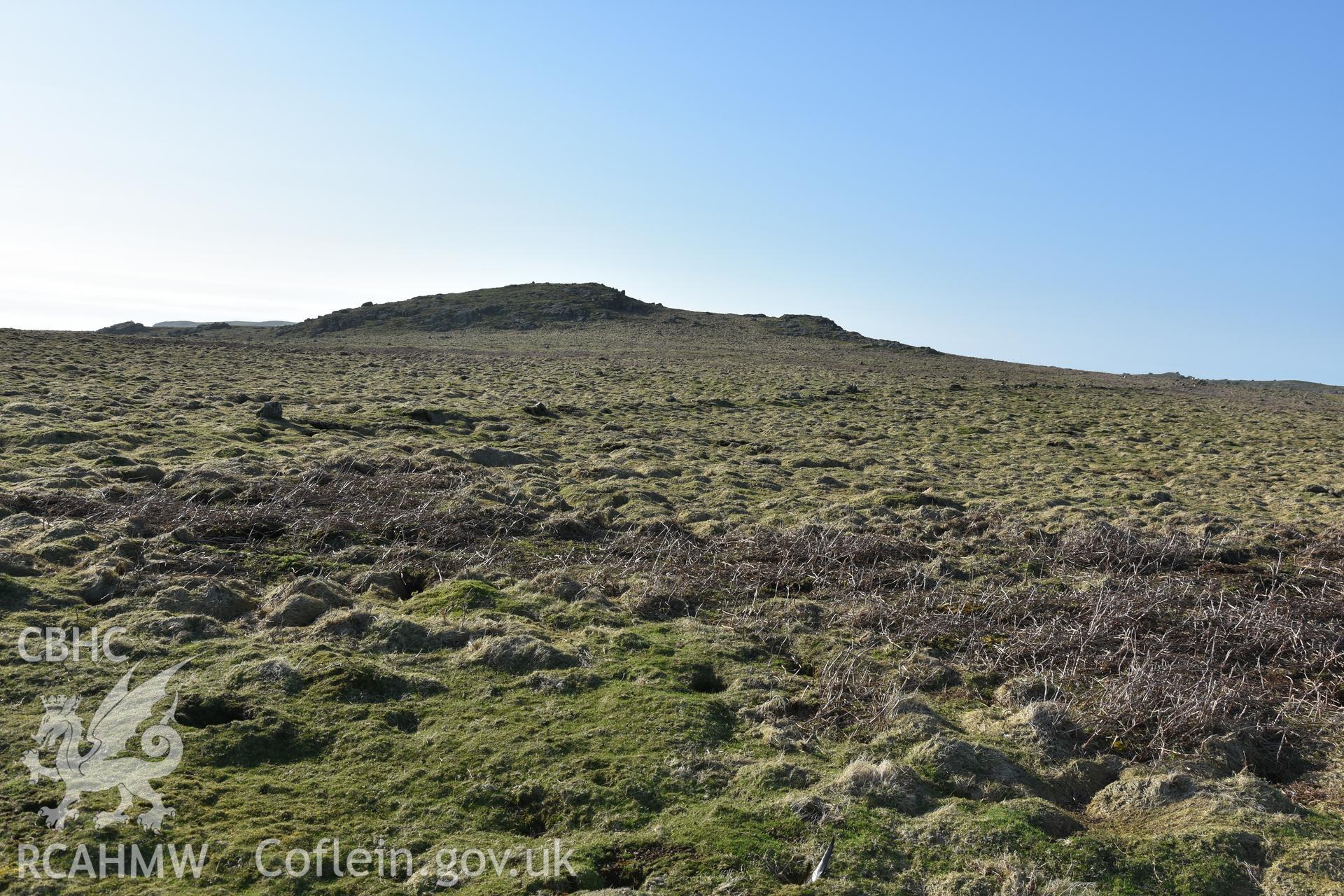 Low field boundaries of Late Bronze Age character within the Wick field system on Skomer Island. View of boundary at SM 7070 806. Photographed in April 2018.