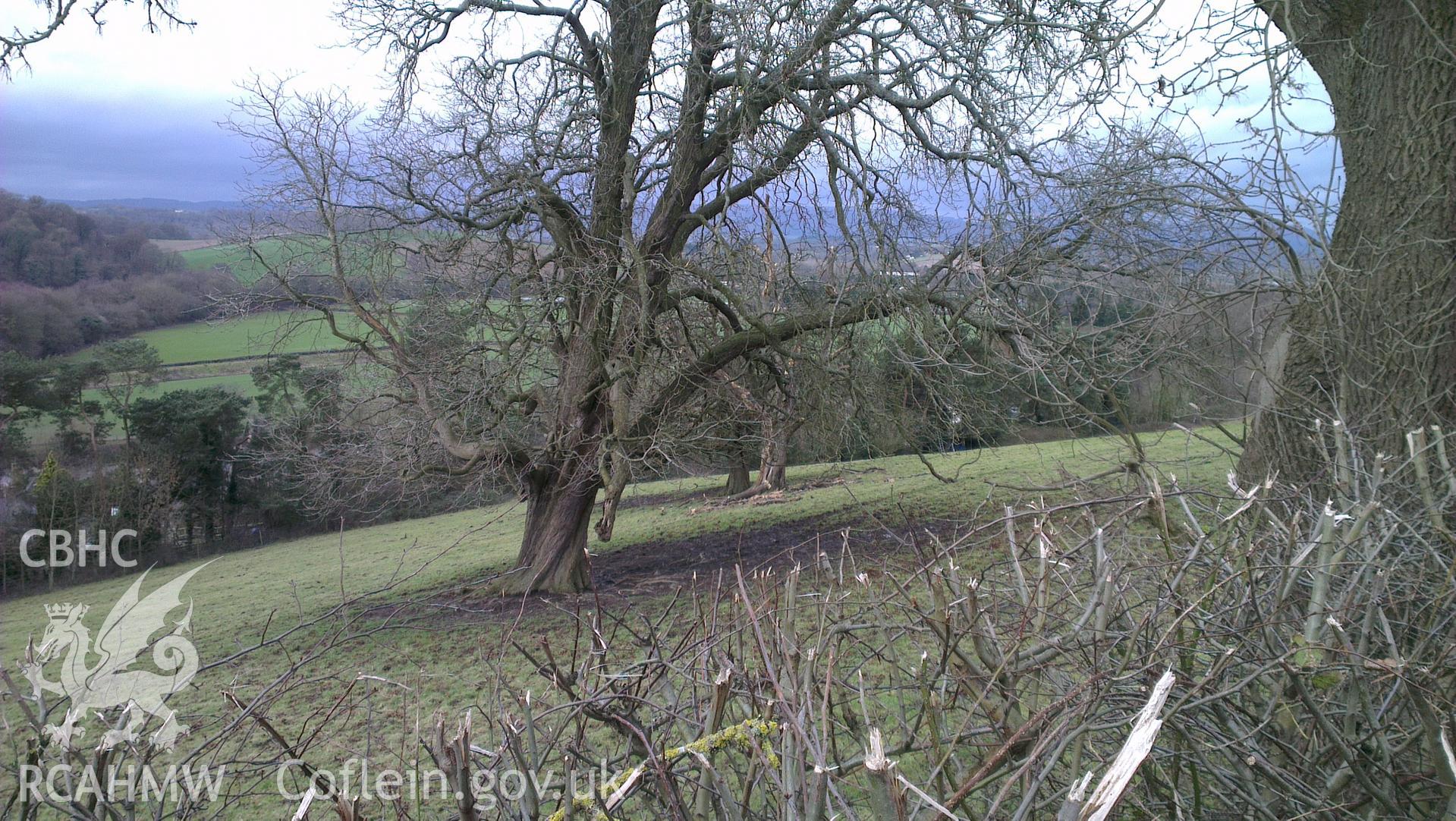 Digital colour photograph of the Pwllmelyn battlefield. Photographed during Phase Three of the Welsh Battlefield Metal Detector Survey, carried out by Archaeology Wales, 2012-2014. Project code: 2041 - WBS/12/SUR.