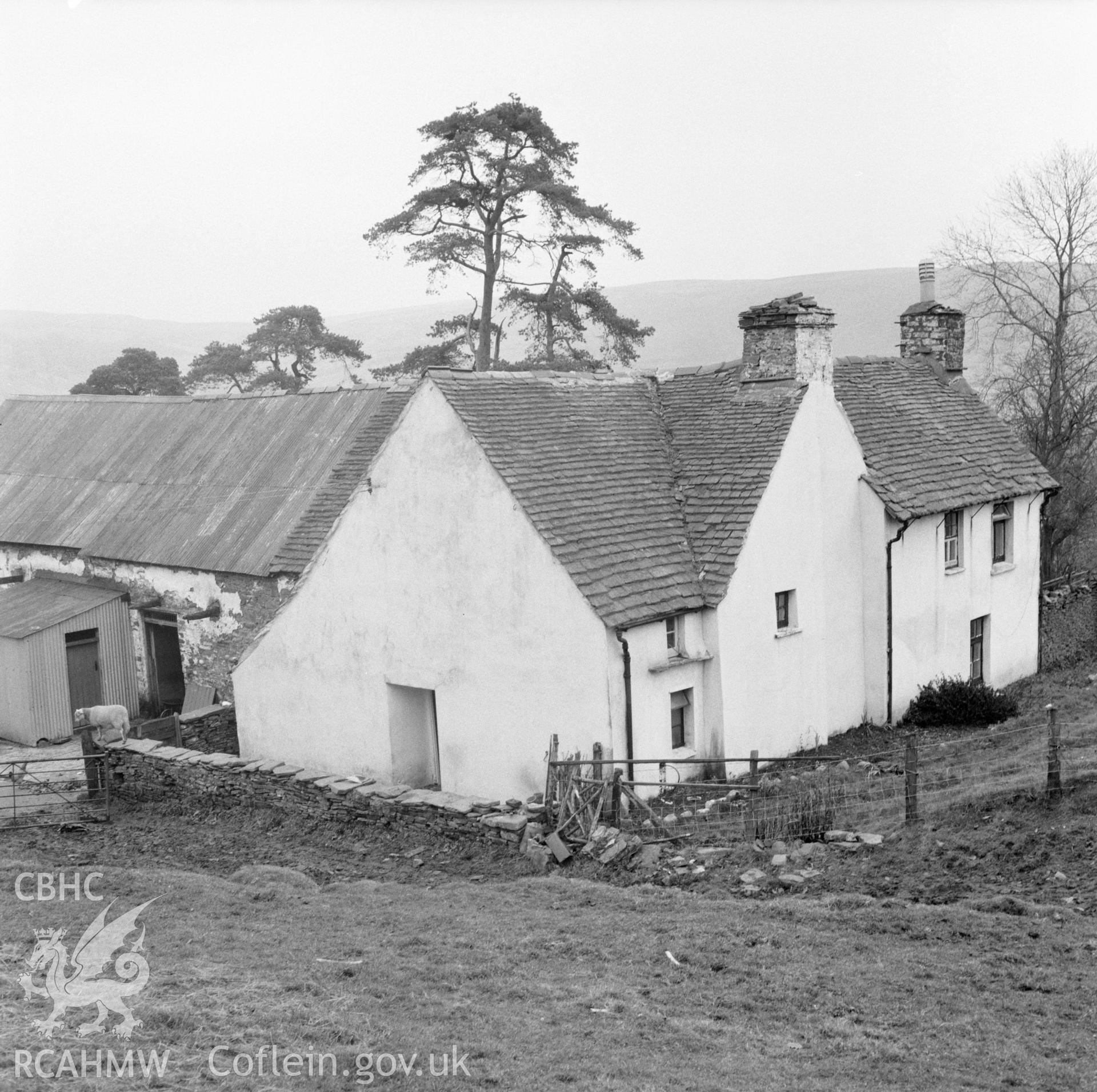 Digital copy of a black and white negative showing Parc Mawr, Eglwysilan, taken 19th November 1965.