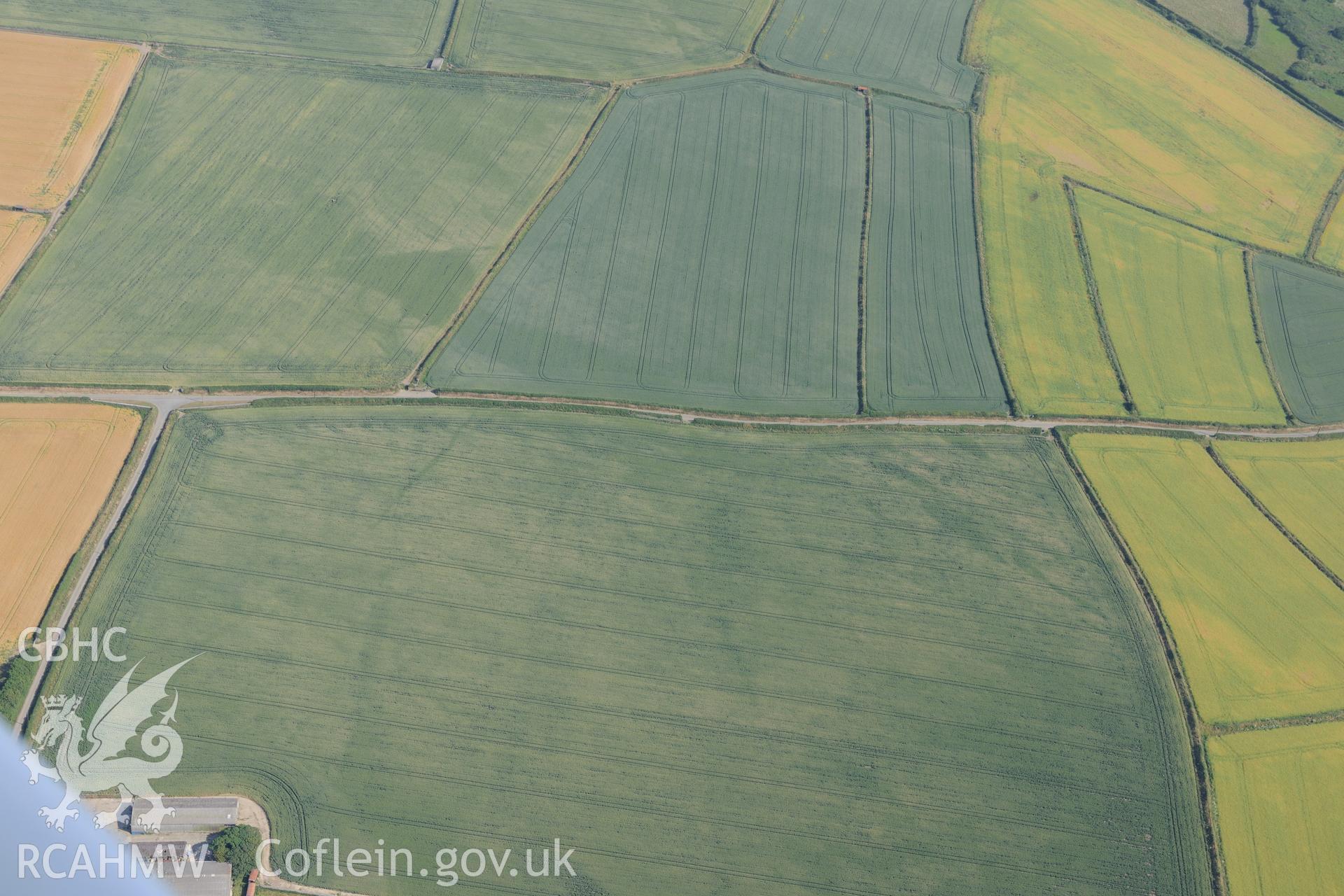 Cropmark of a longhouse ring ditch or circular enclosure, north east of Trefin, Pembrokeshire. Oblique aerial photograph taken during the Royal Commission?s programme of archaeological aerial reconnaissance by Toby Driver on 16th July 2013.