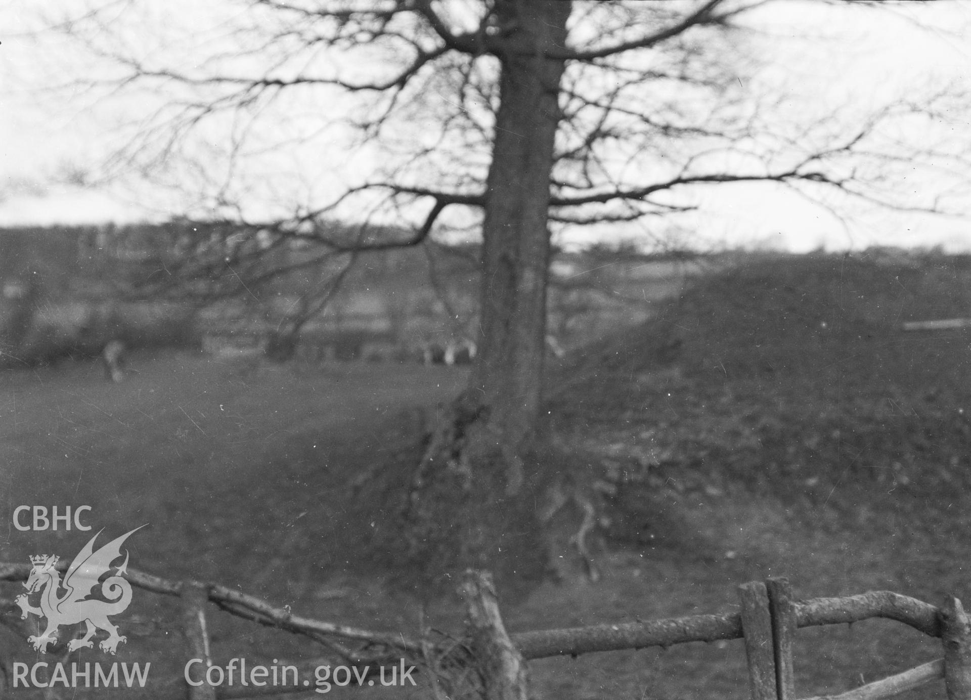 Digital copy of a nitrate negative showing Brynbella Tumulus. From the Cadw Monuments in Care Collection.