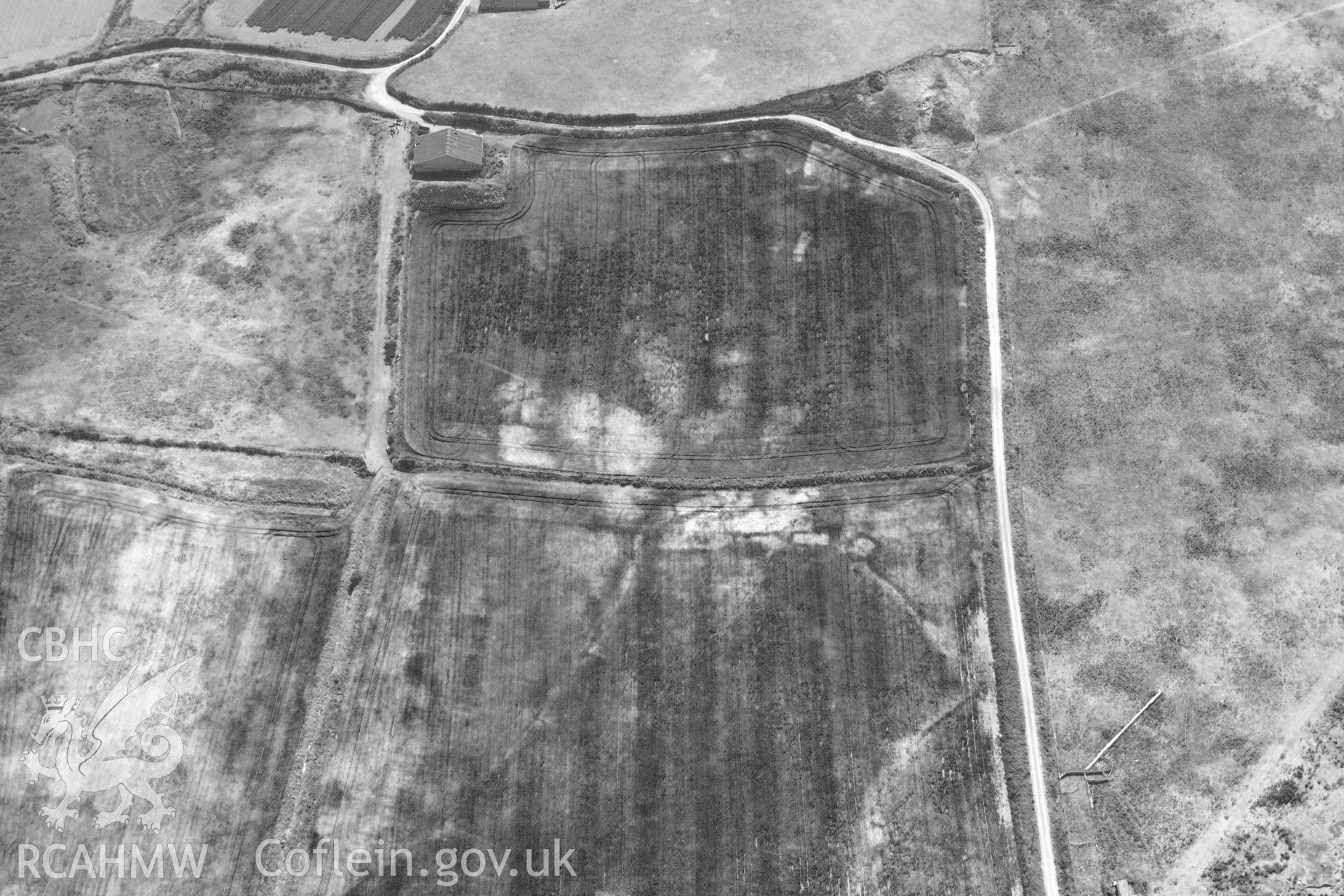 Parchmarks of possible township at Croes Phillip, St Davids. Oblique aerial photograph taken during the Royal Commission?s programme of archaeological aerial reconnaissance by Toby Driver on 16th July 2013.