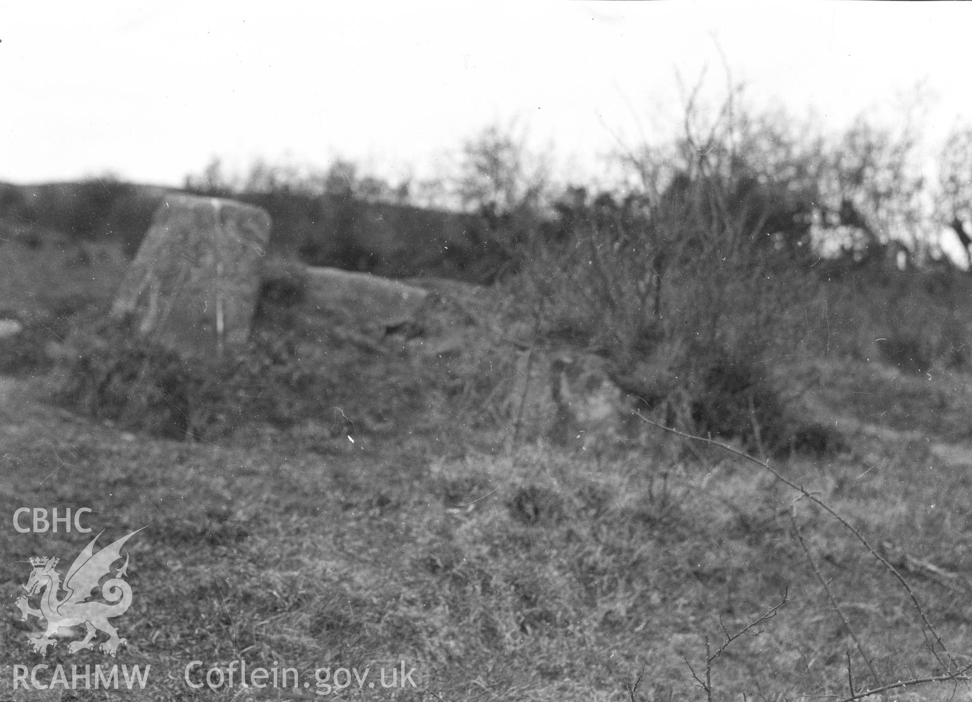Digital copy of a nitrate negative showing Tai Marian Cist.