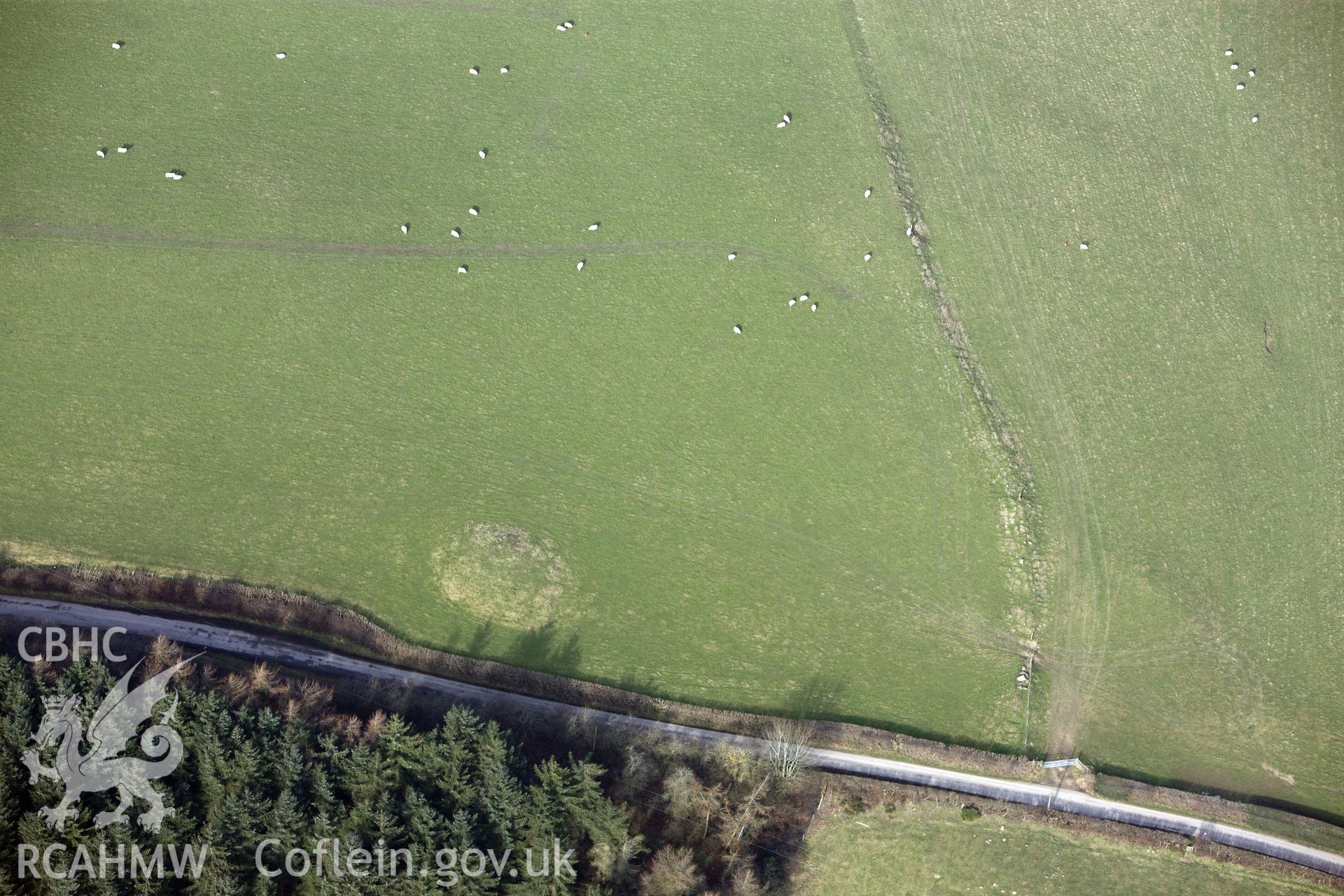 Plas Yw barrow, north west of Mold. Oblique aerial photograph taken during the Royal Commission?s programme of archaeological aerial reconnaissance by Toby Driver on 28th February 2013.