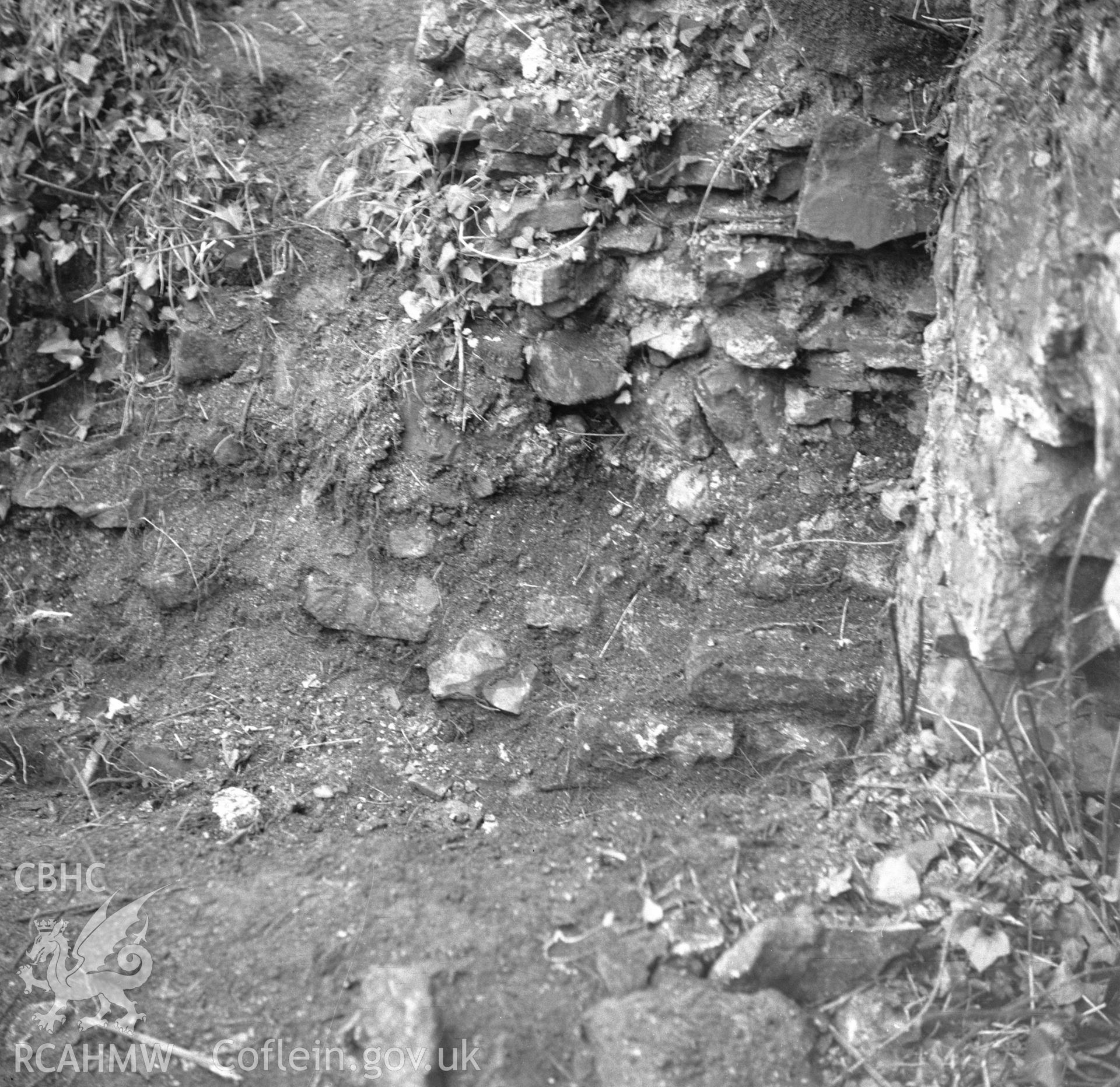 Digital copy of an acetate negative showing Haroldston, 5th December 1956.