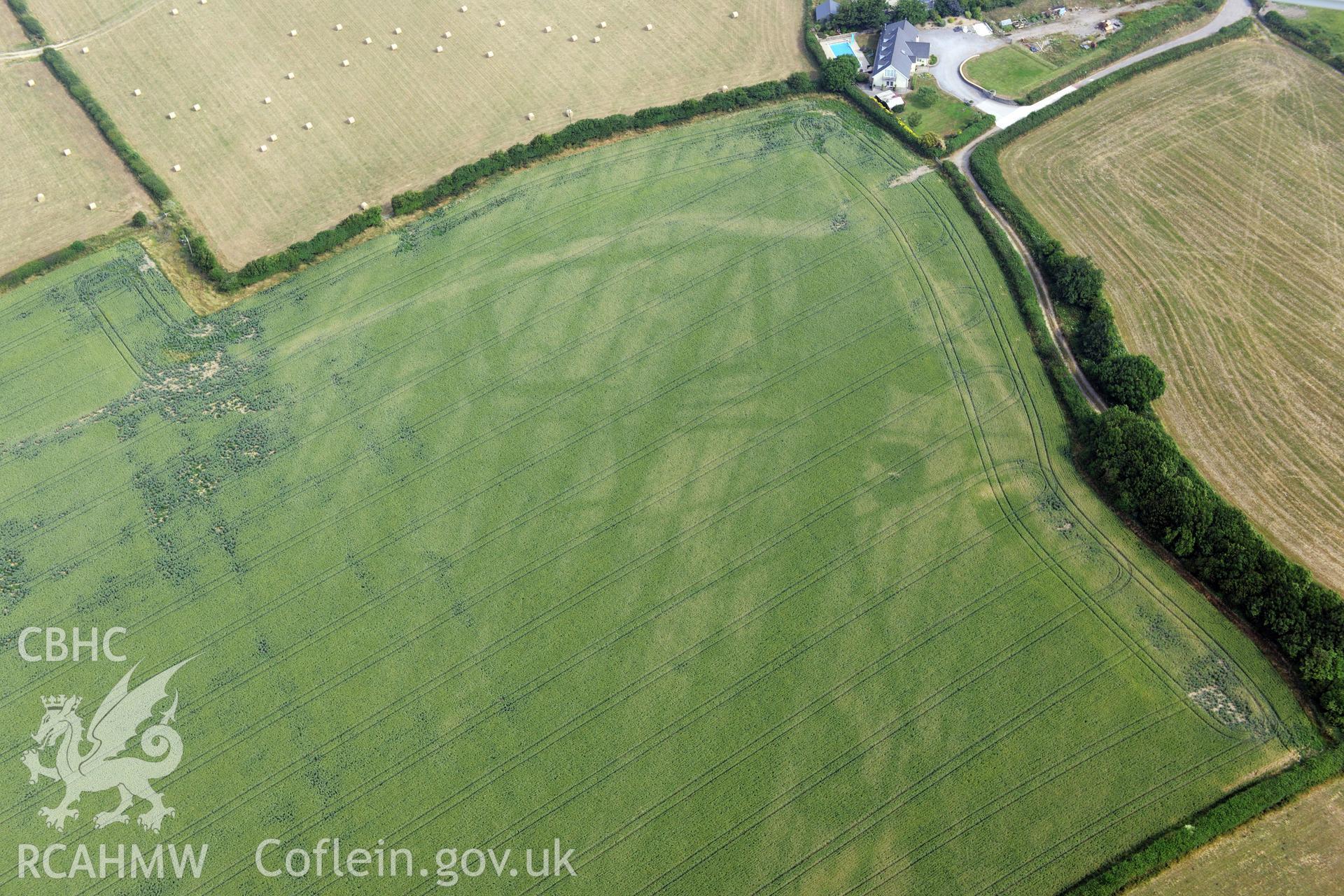 Royal Commission aerial photography of cropmarks at Moorlands Farm recorded during drought conditions on 22nd July 2013 at the time of their discovery.