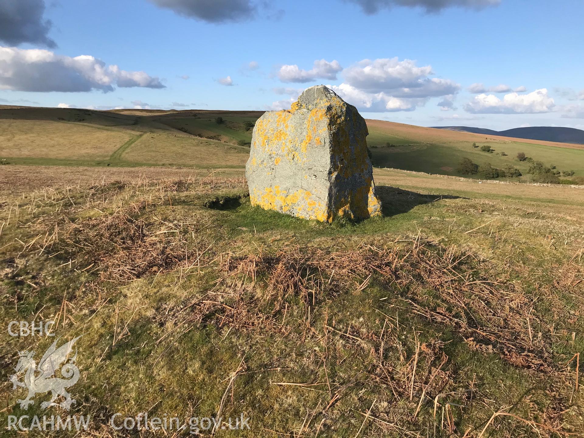 Digital colour photograph showing detailed view of Barrow I on Aberedw Hill, Builth Wells, taken by Paul R. Davis on 4th May 2019.