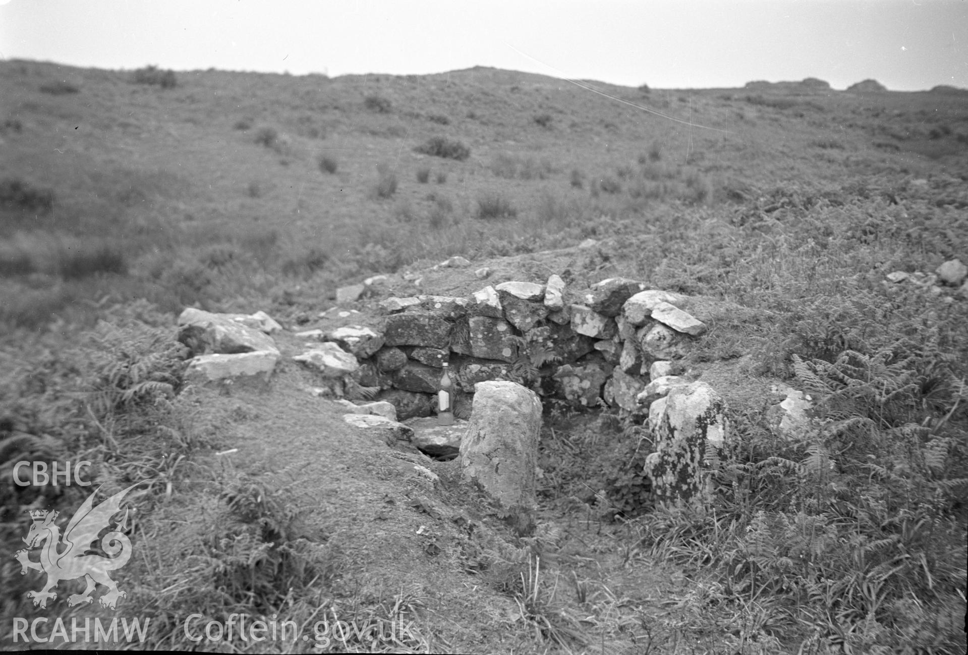 Digital copy of a nitrate negative showing view of Skomer Island taken by Leonard Monroe, June 1950.